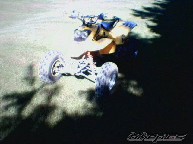 Photo 222798