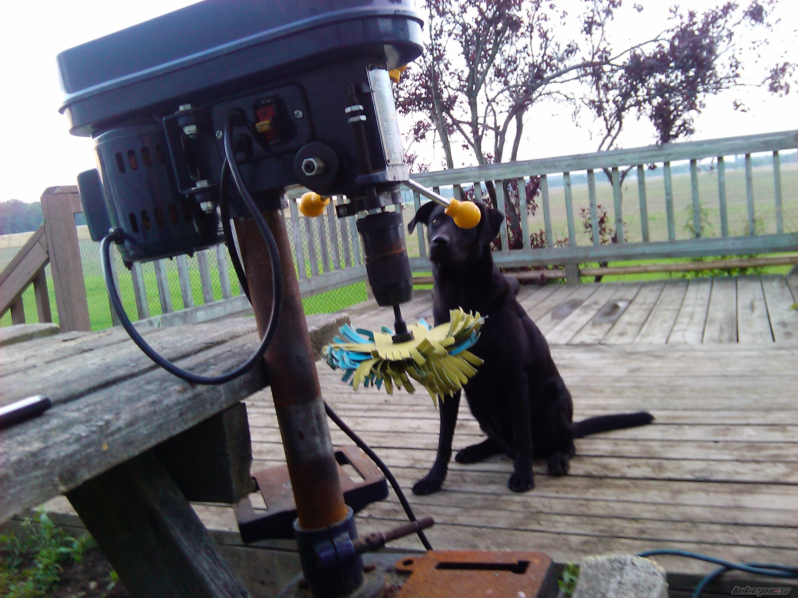 Photo 2227998