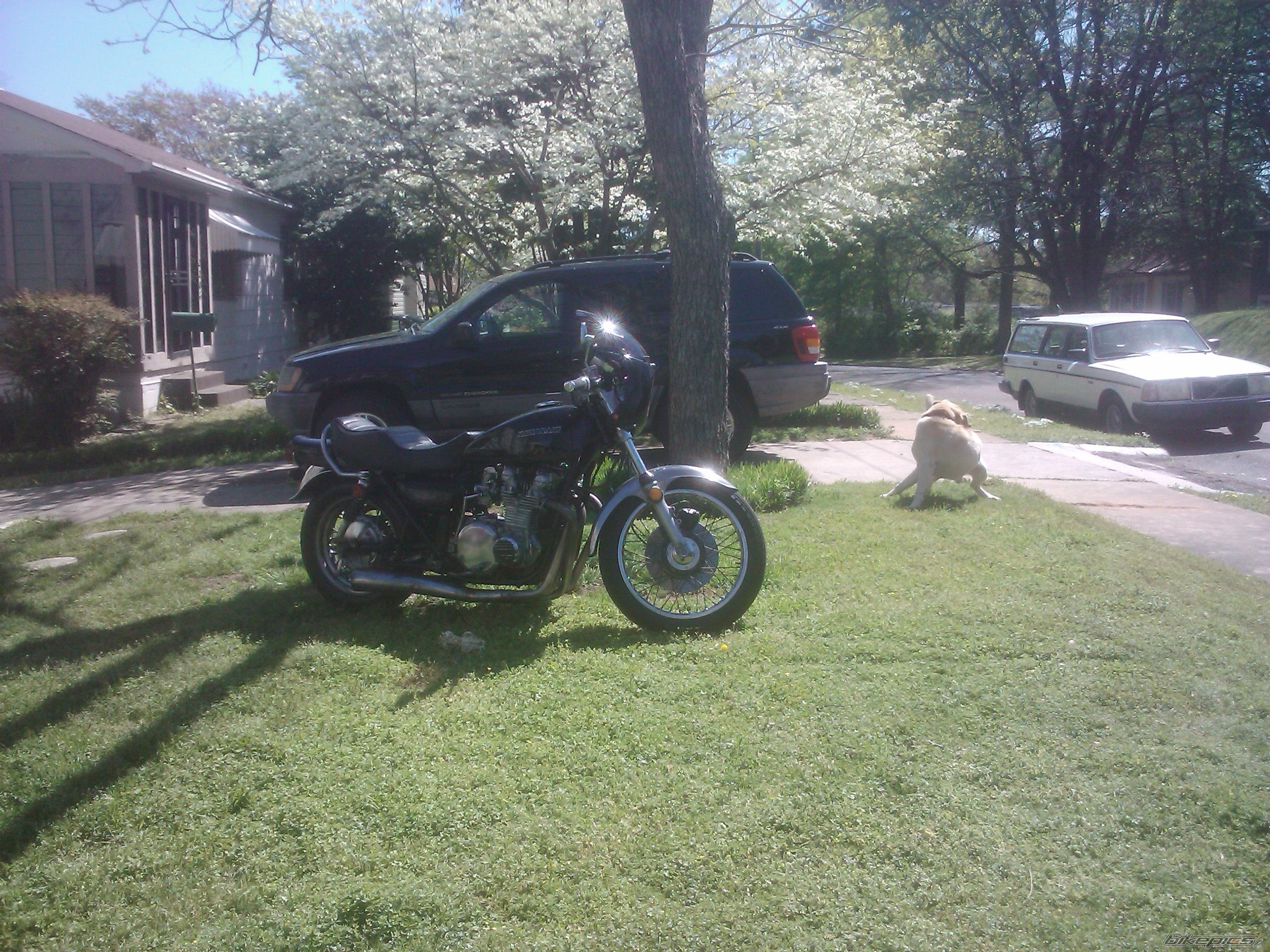Photo 2228010