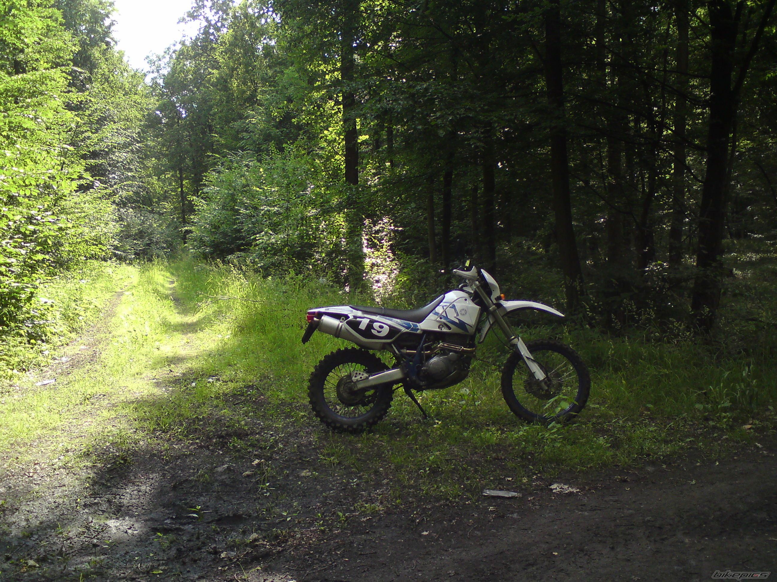 Photo 2228058