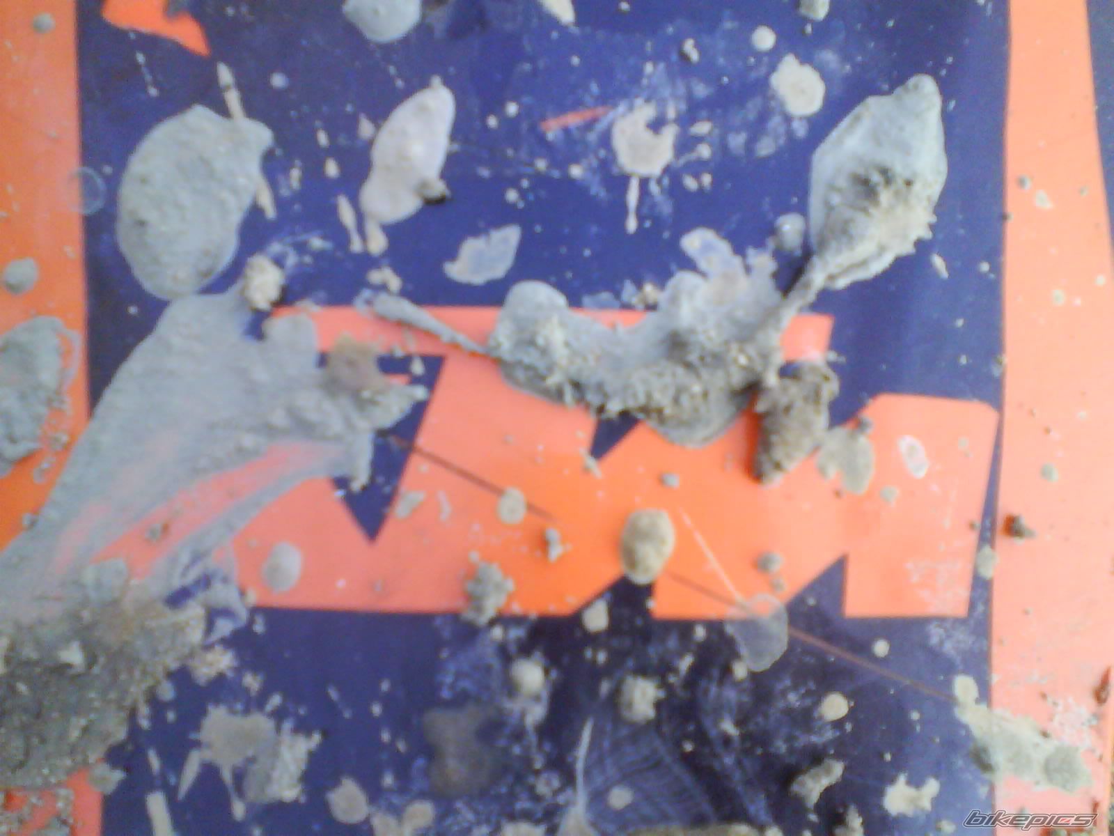 Photo 2228153