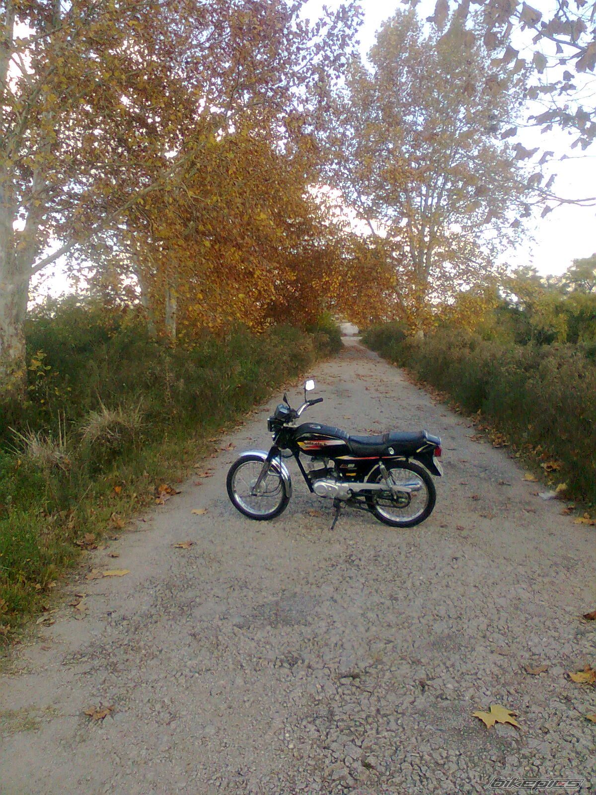 Photo 2228172