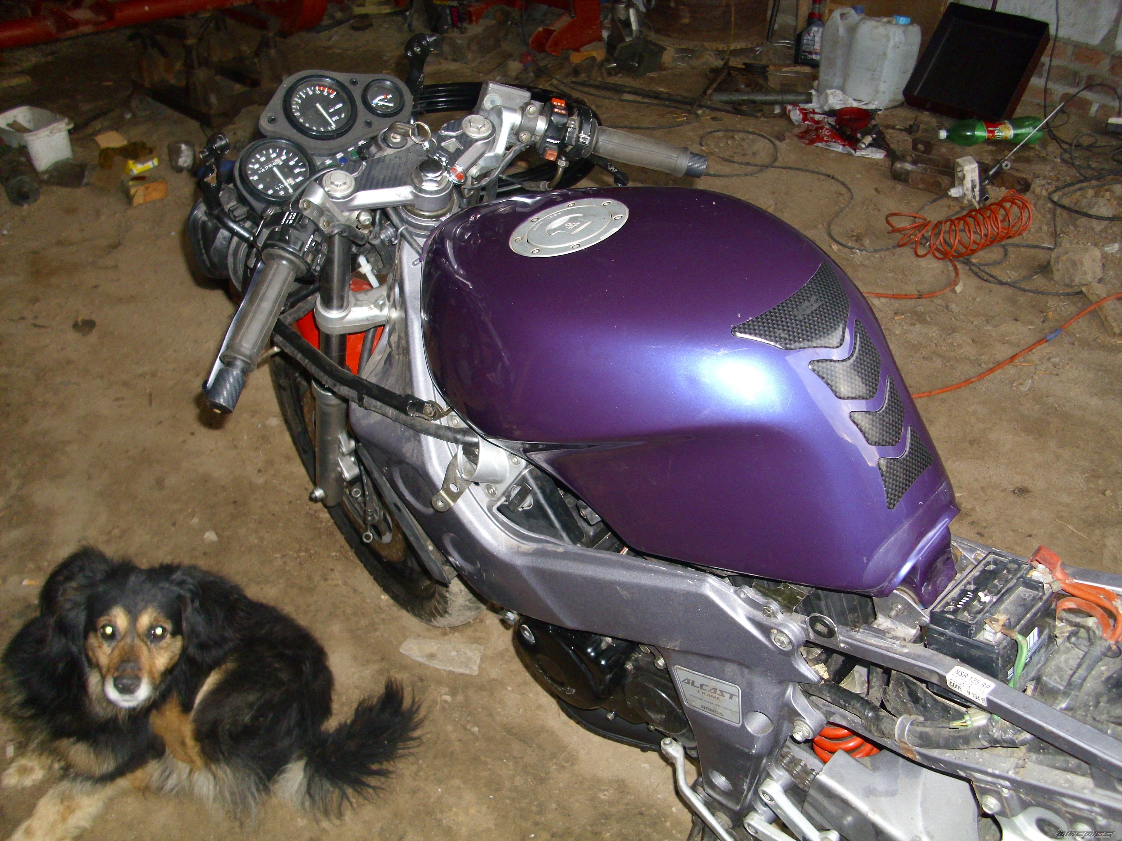 Photo 2228261
