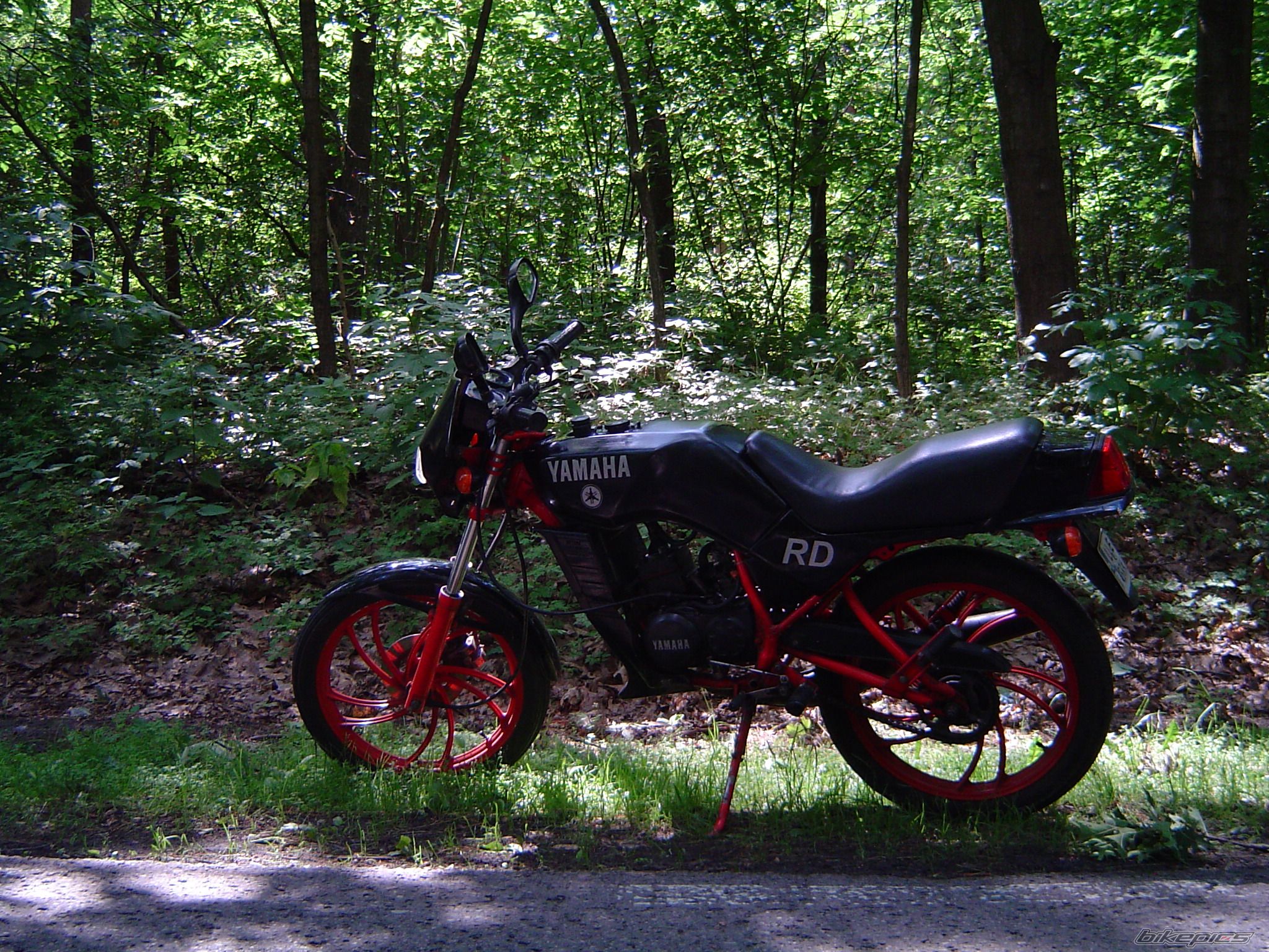Photo 2228304