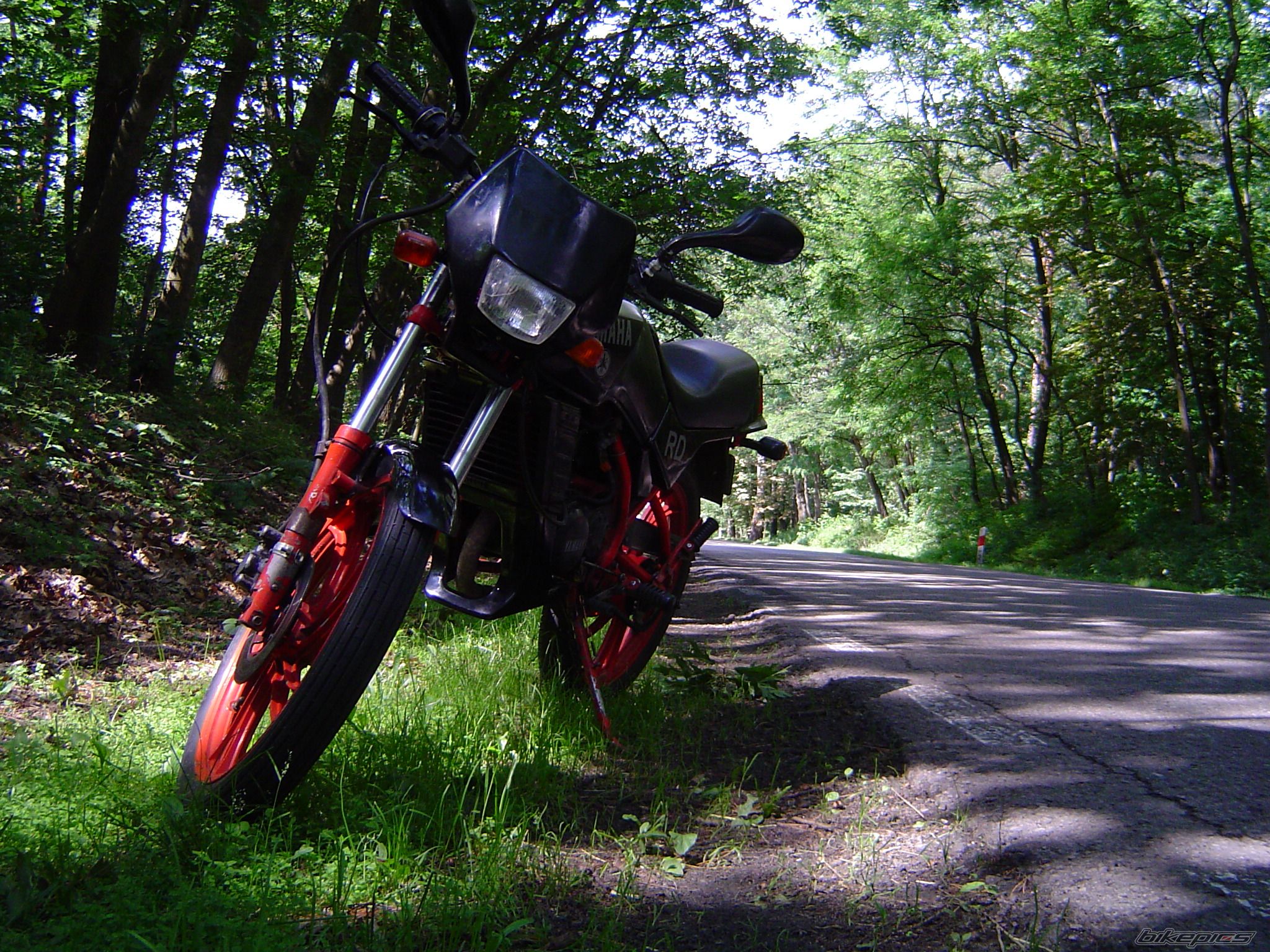 Photo 2228306