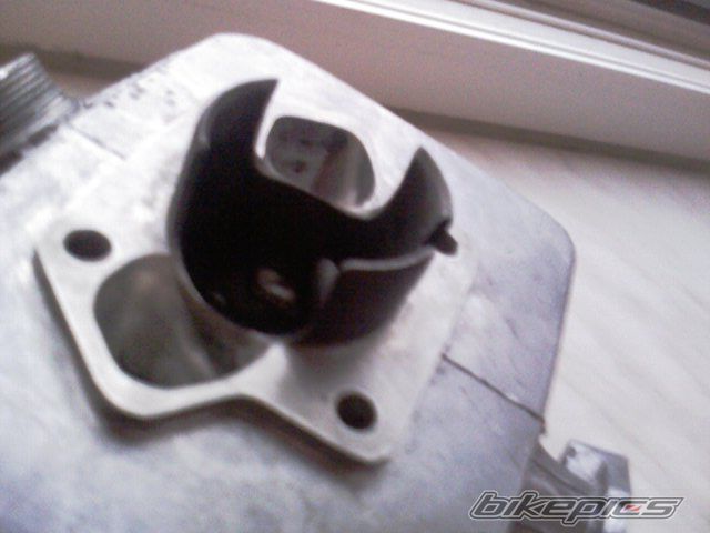 Photo 2228351