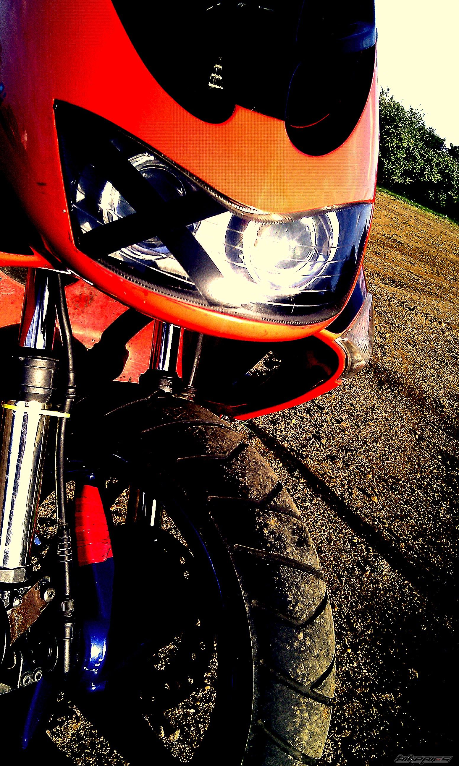 Photo 2228388