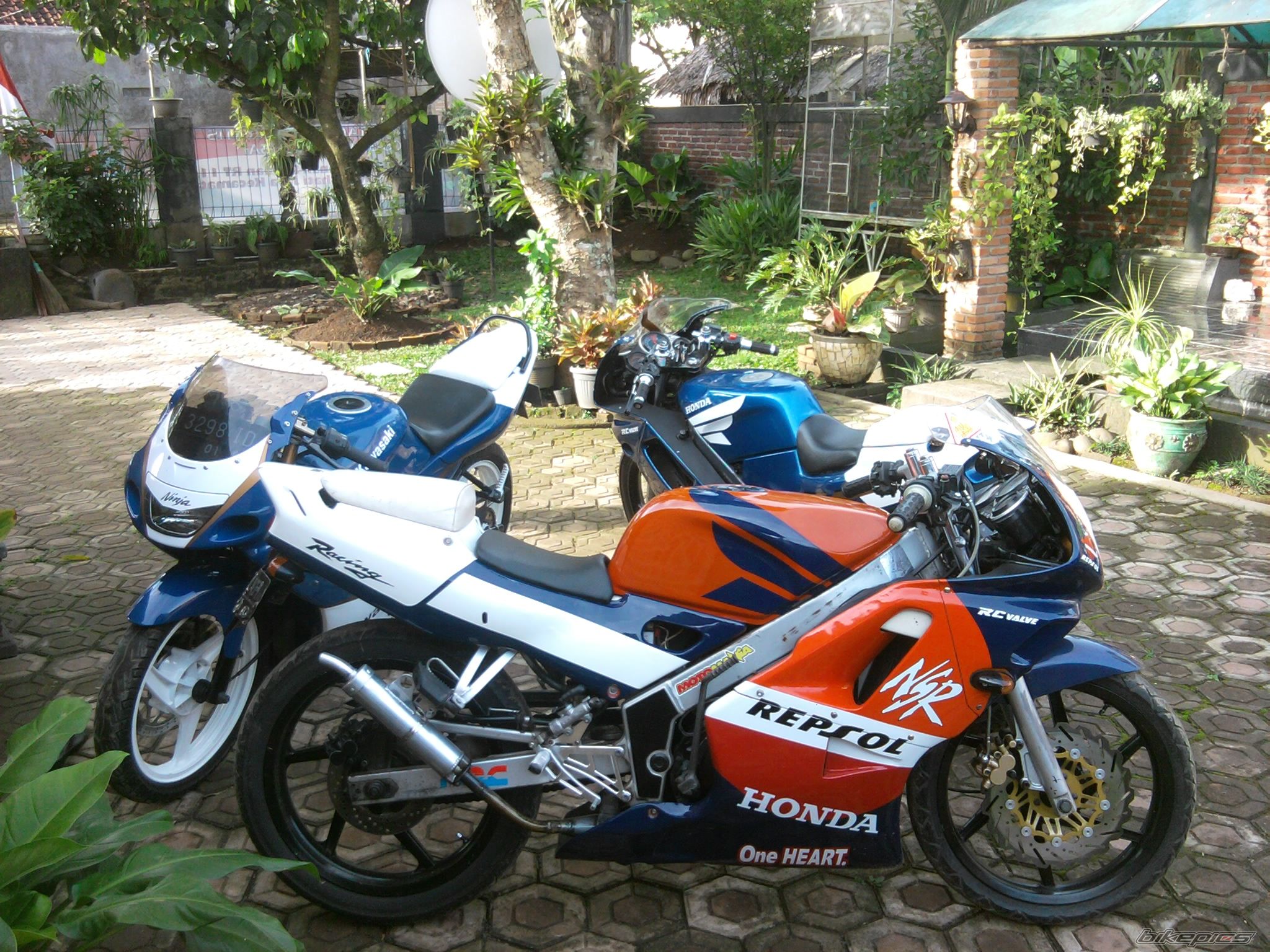 Photo 2228409