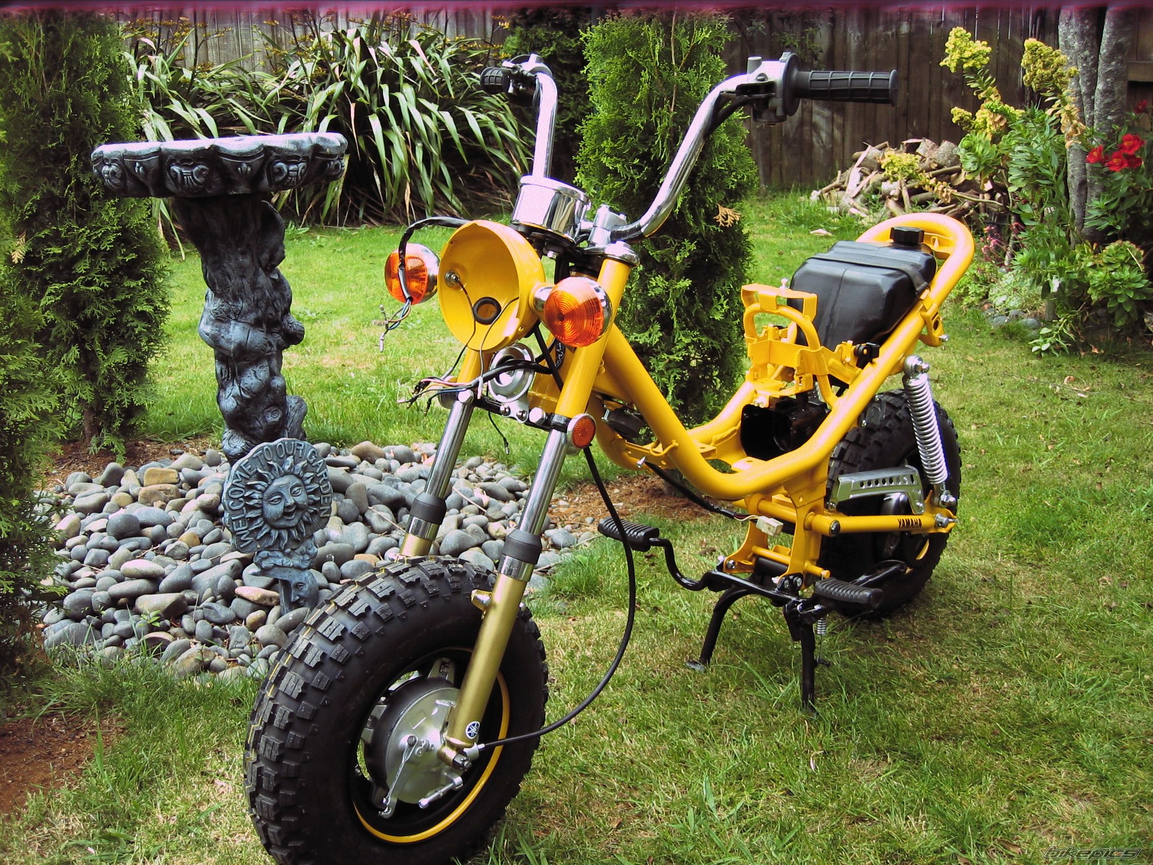 Photo 2228544