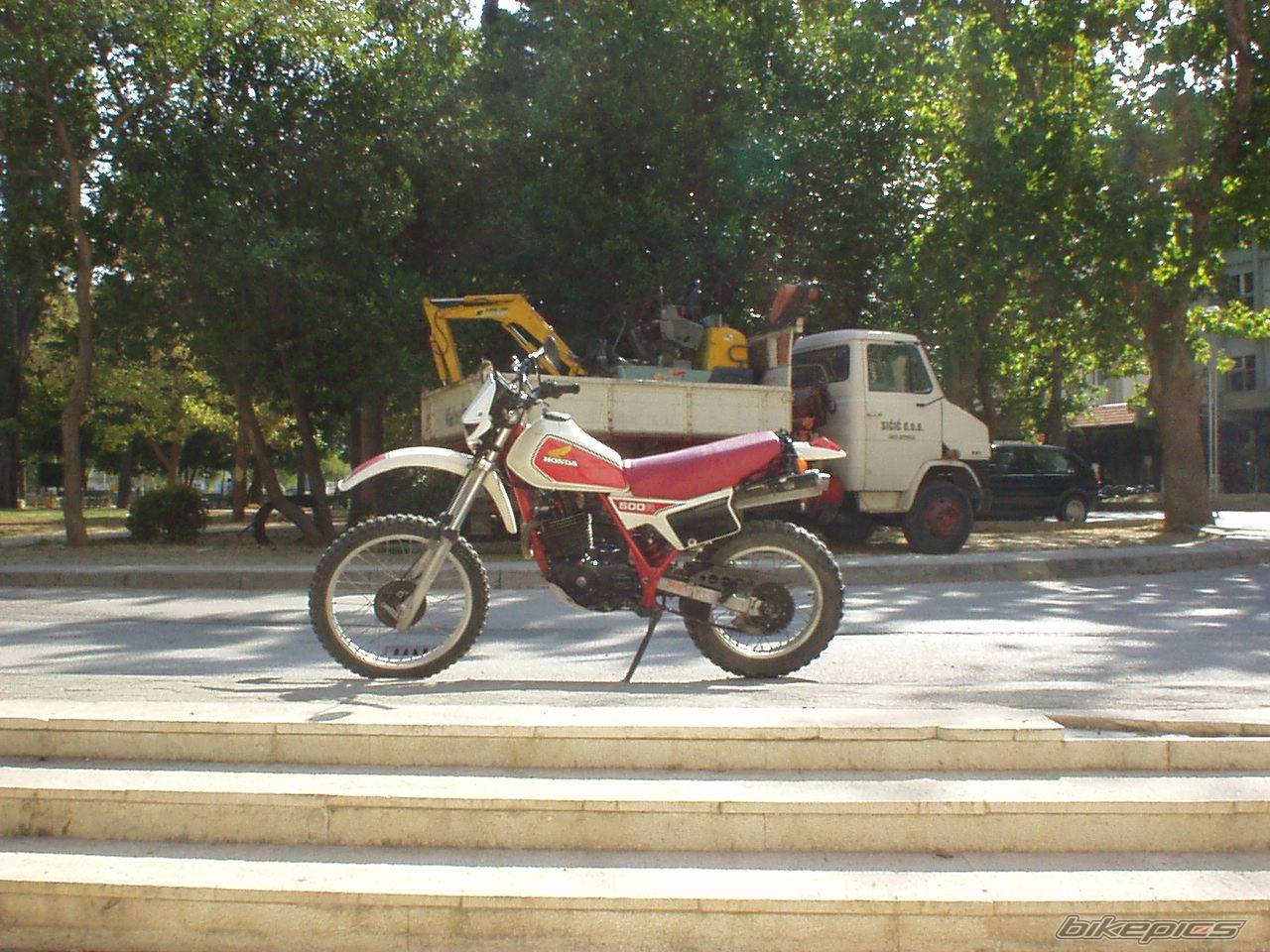 Photo 222859