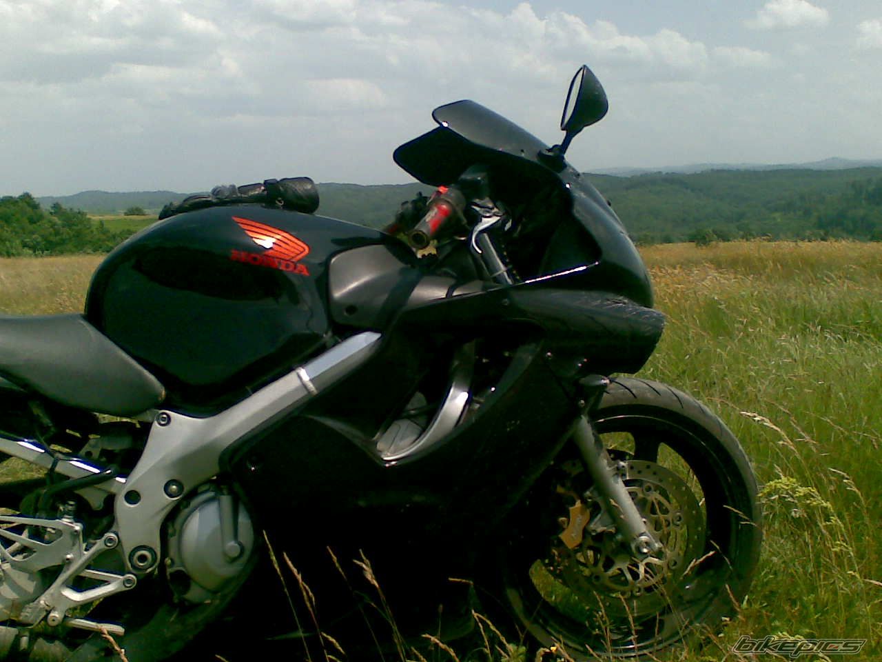 Photo 2228637