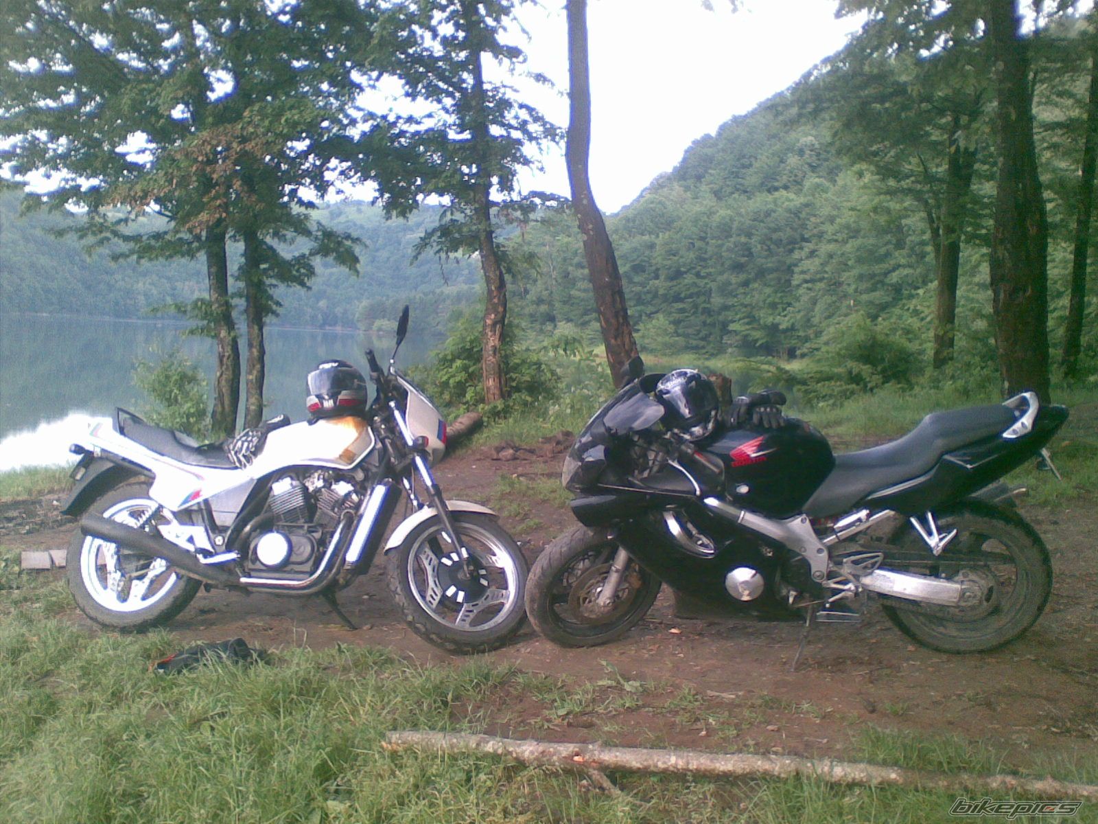 Photo 2228642