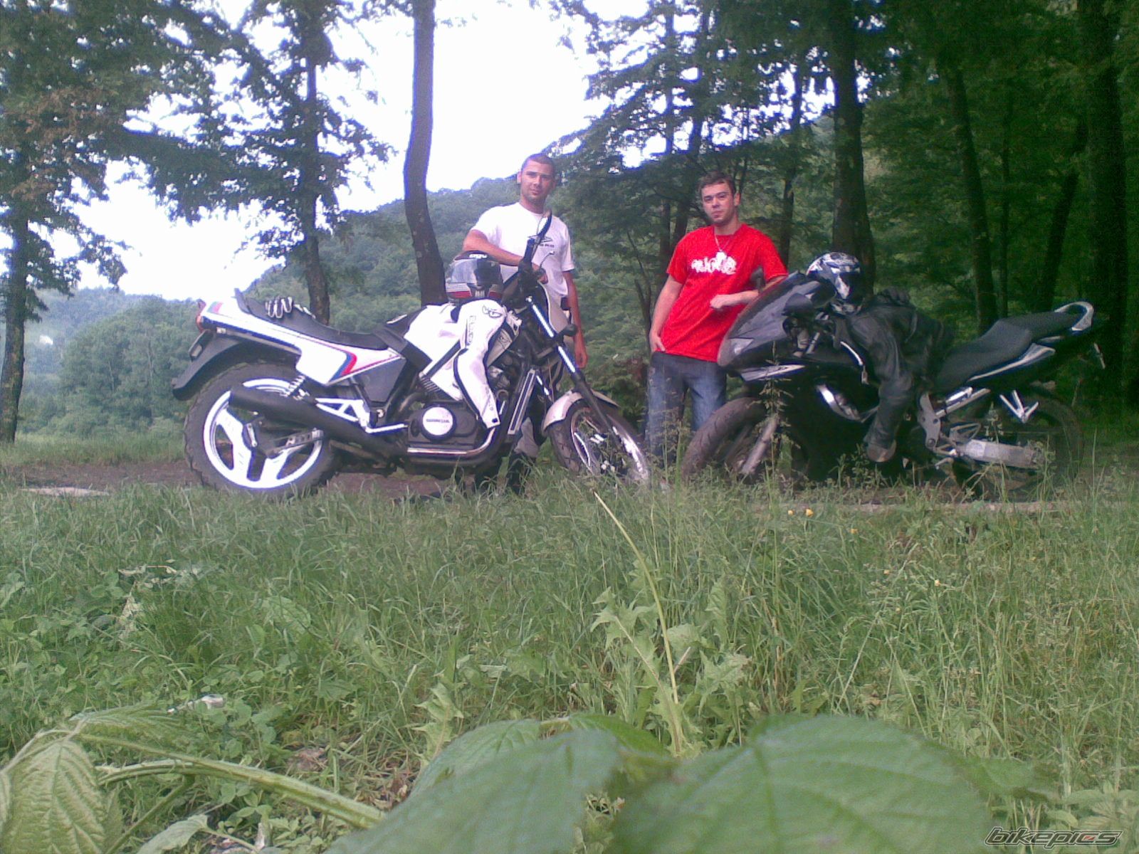 Photo 2228643