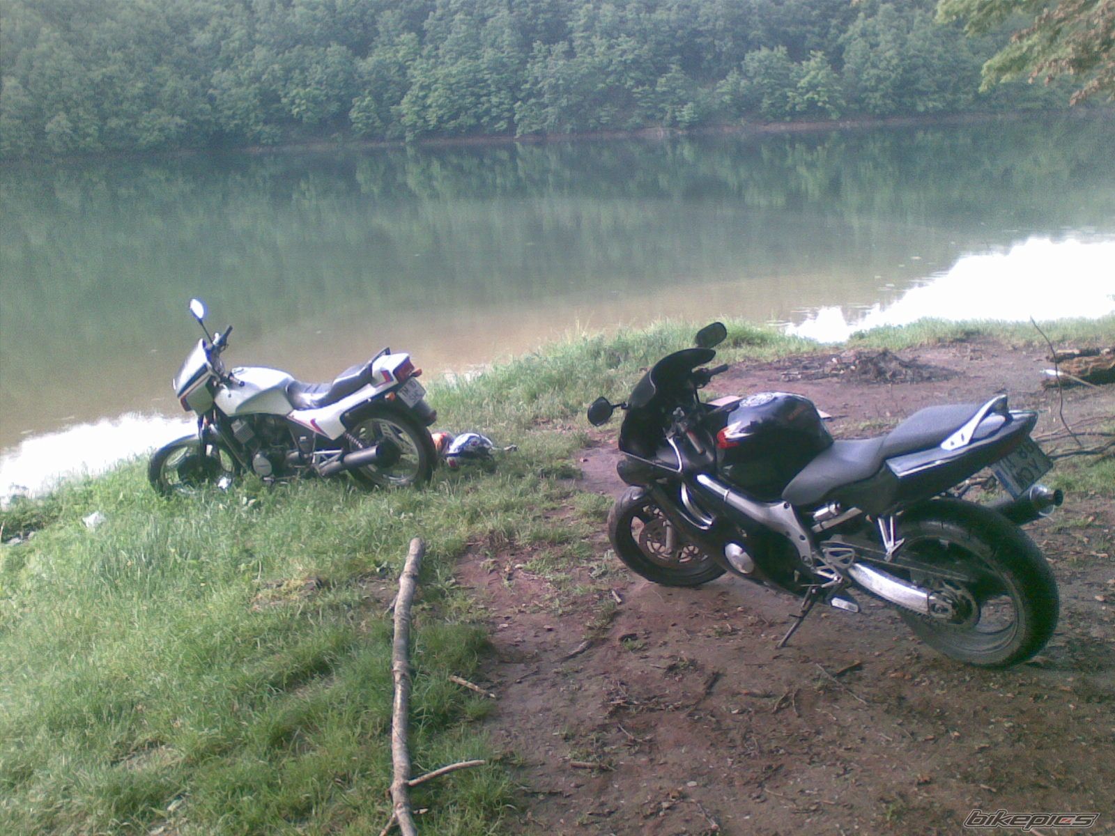 Photo 2228644