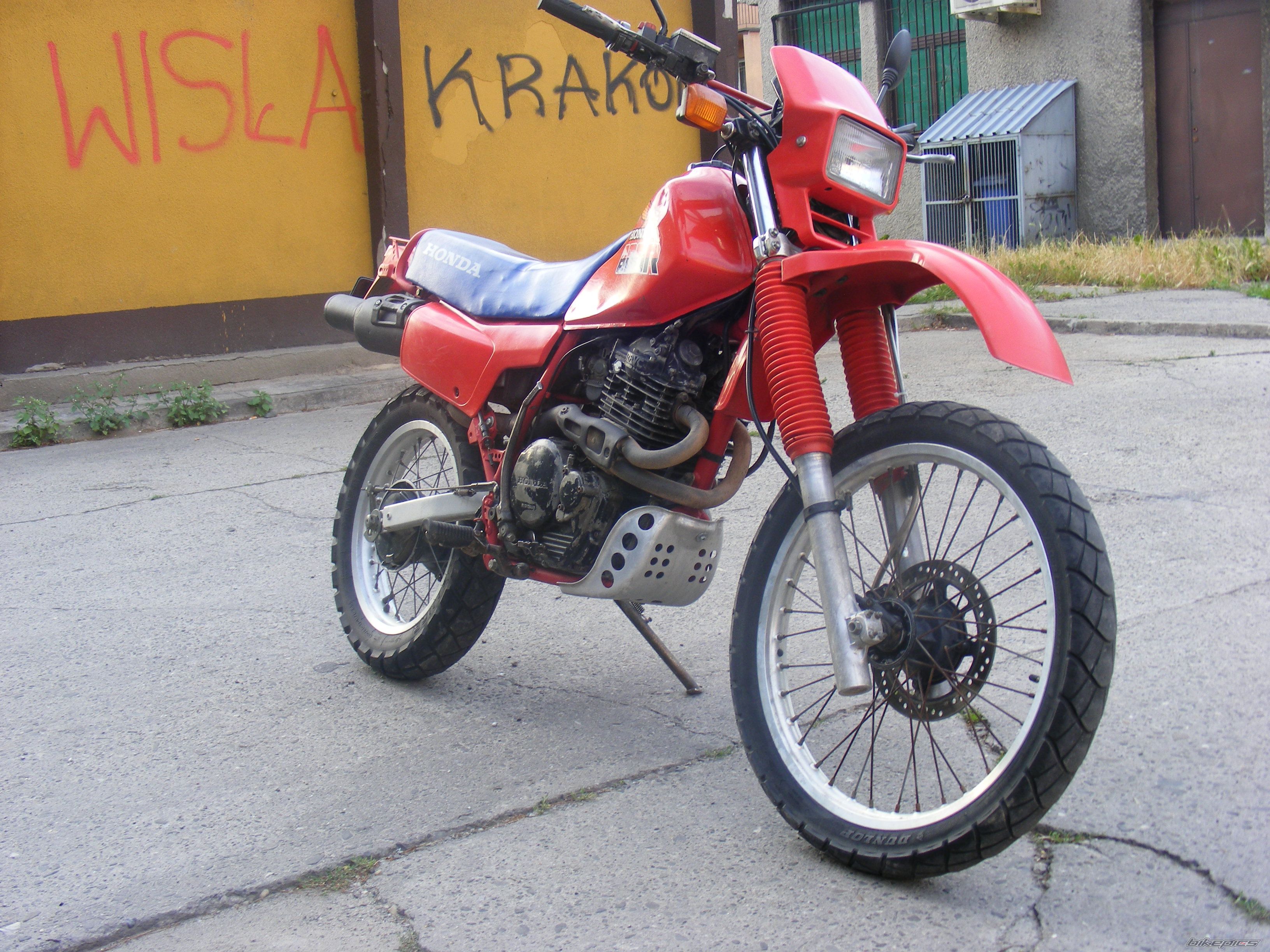 Photo 2228727