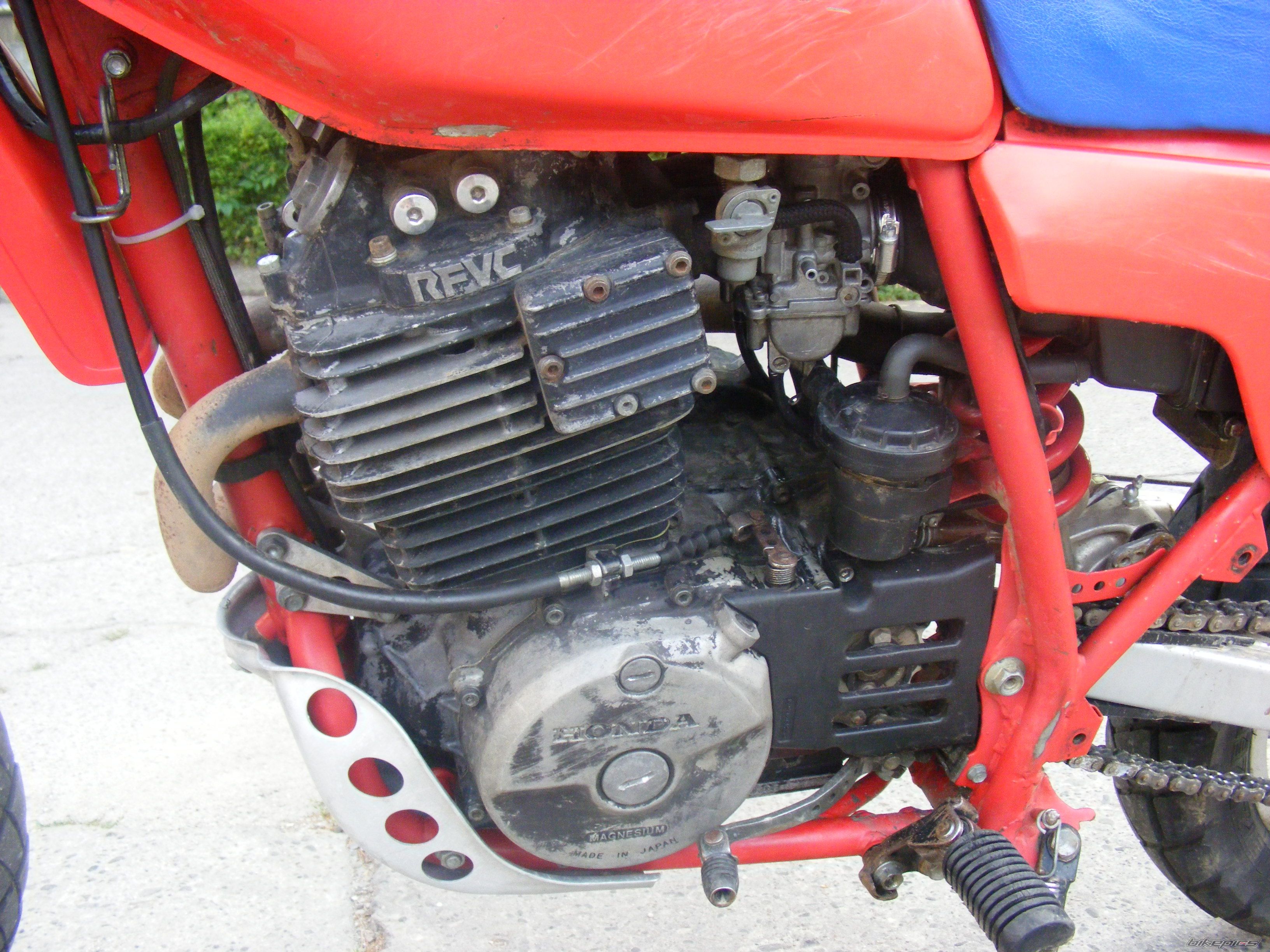 Photo 2228730
