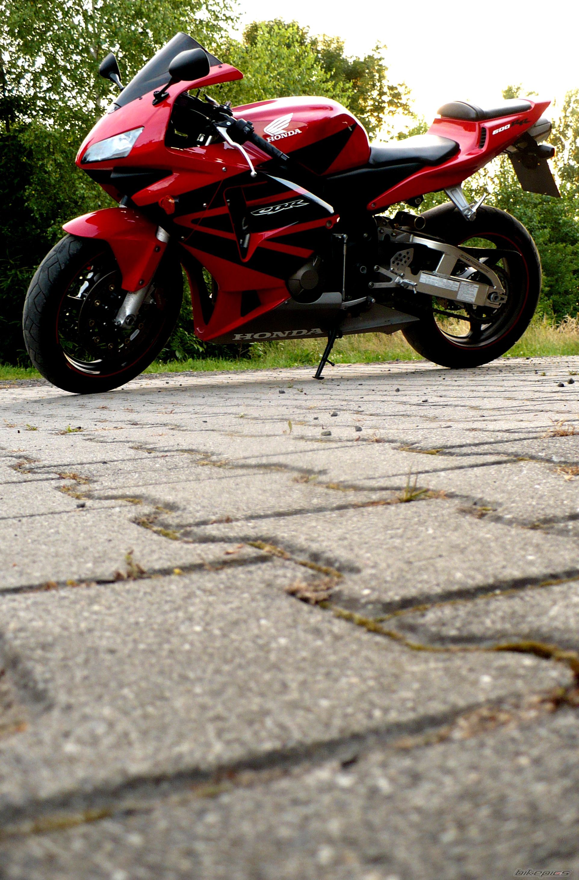 Photo 2228757