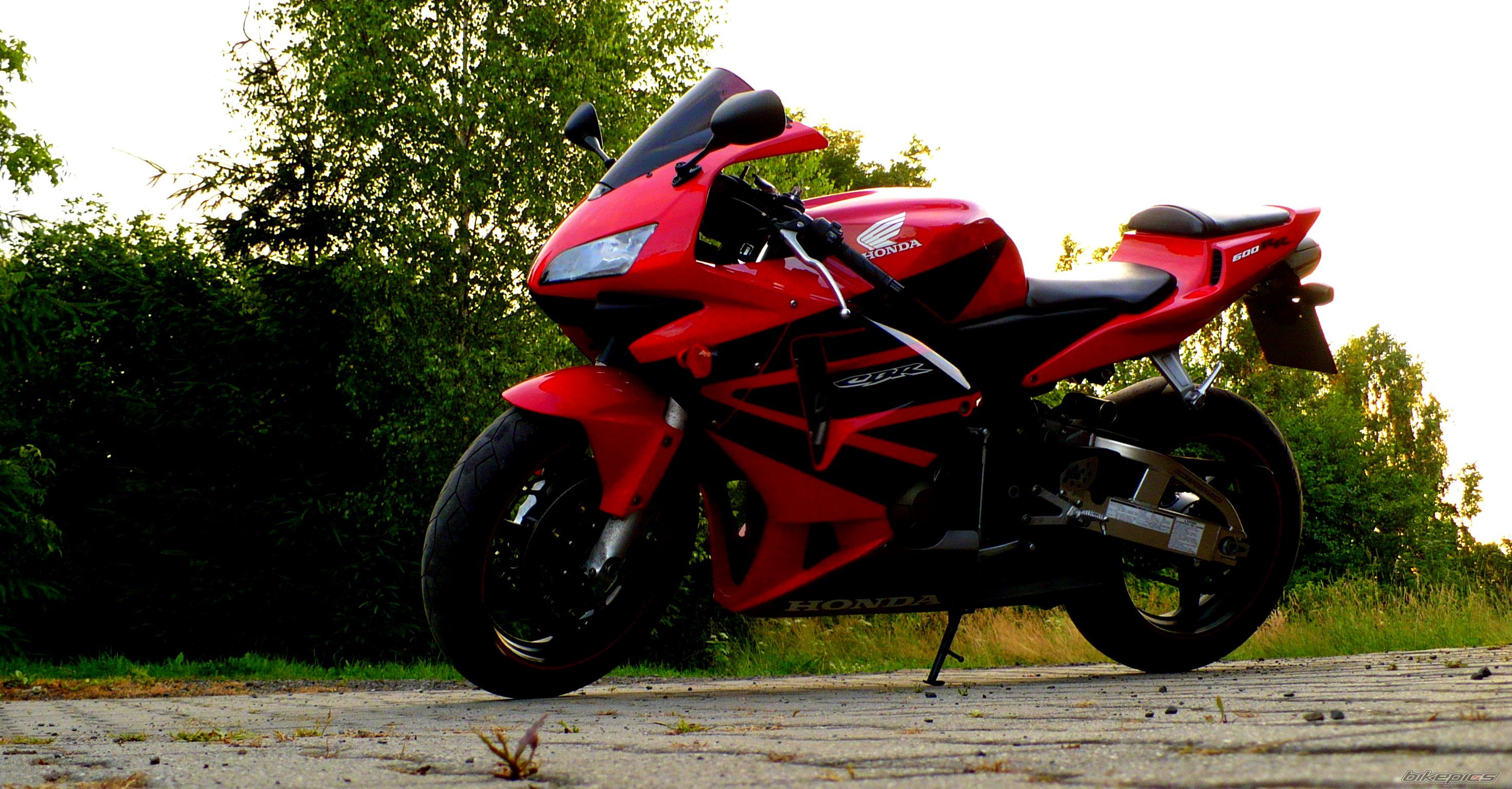 Photo 2228758