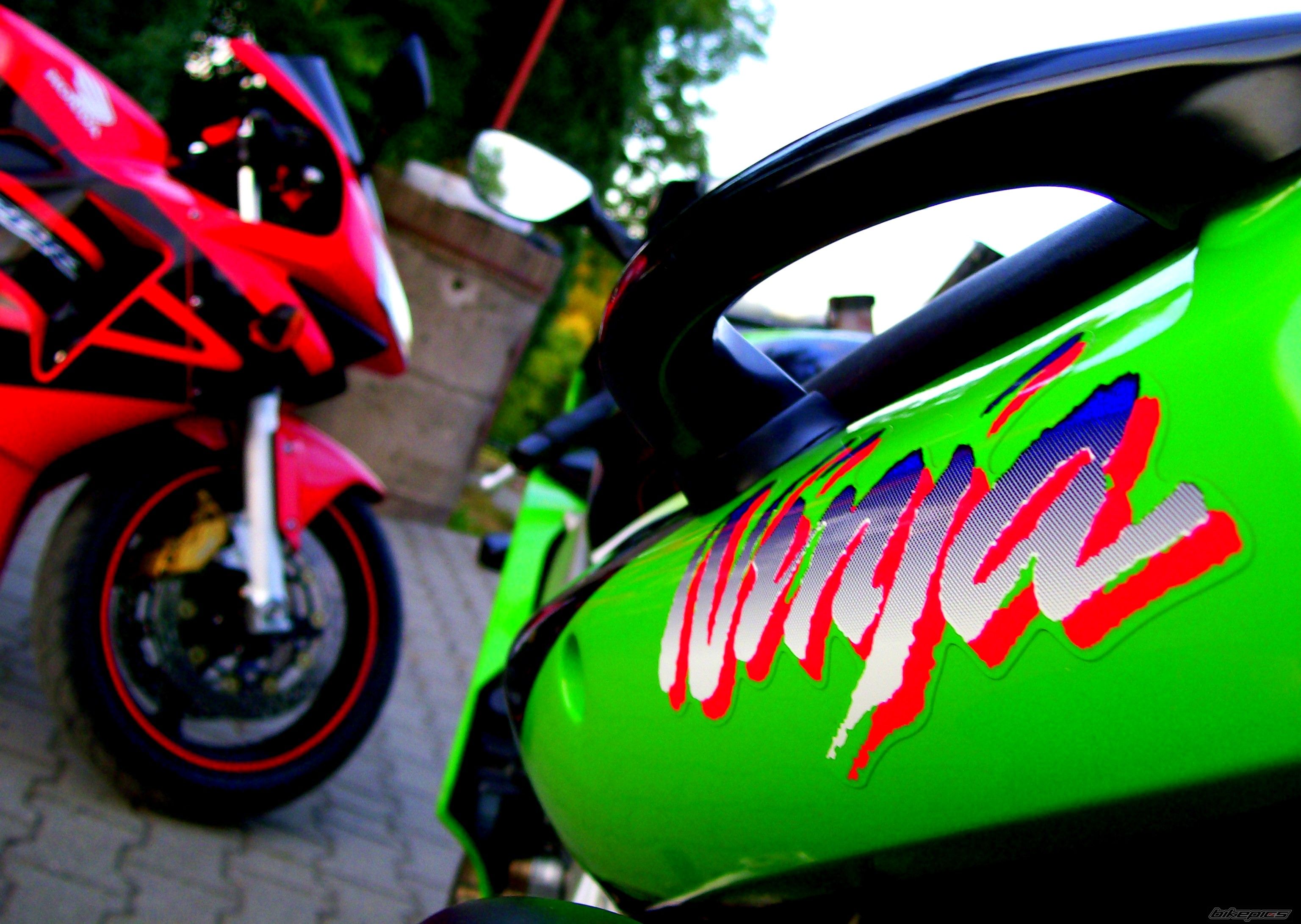 Photo 2228768