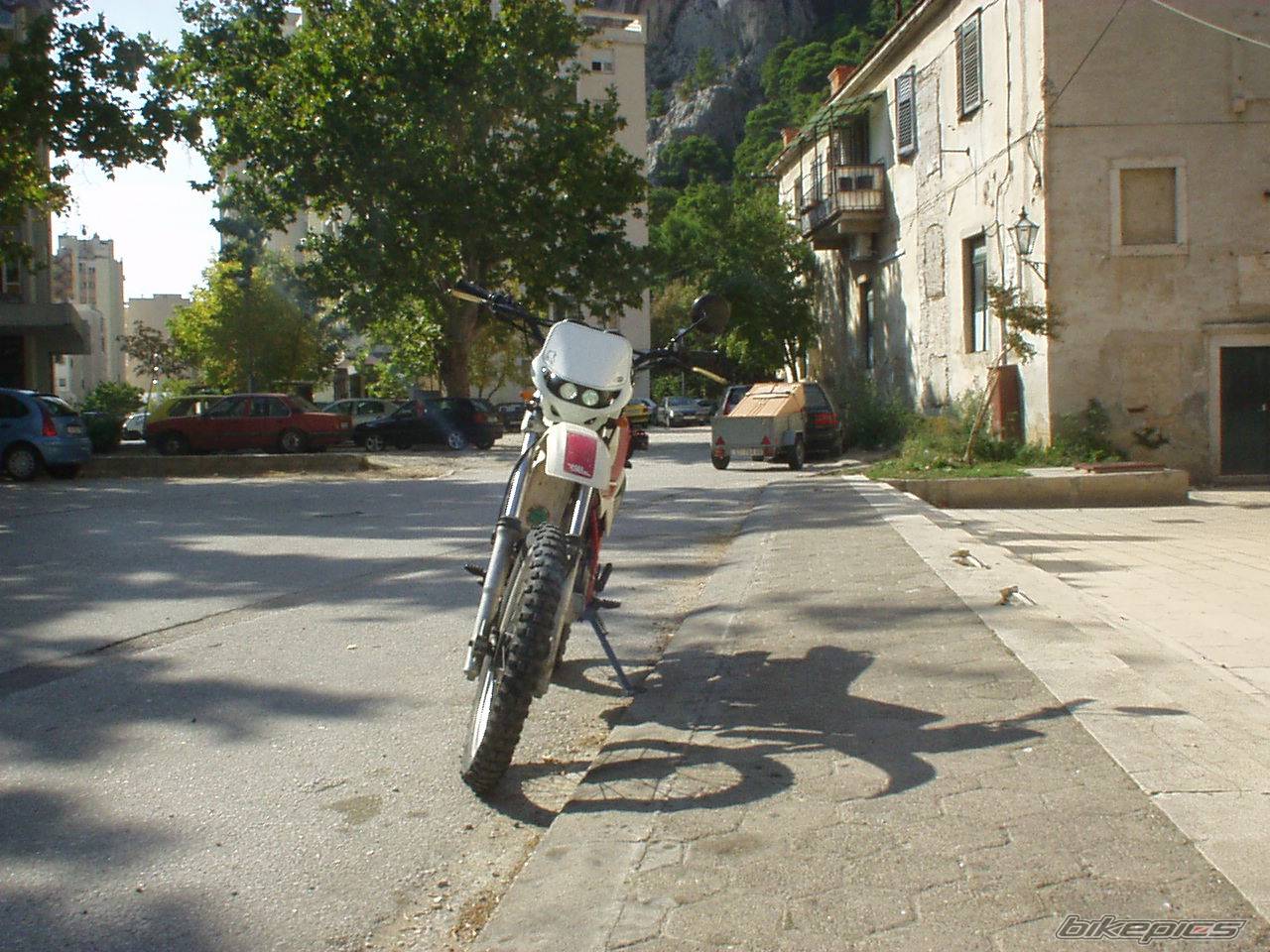 Photo 222887