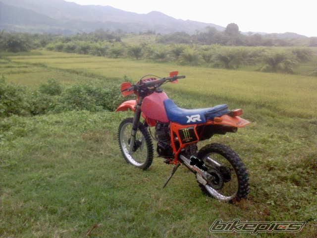 Photo 2228953