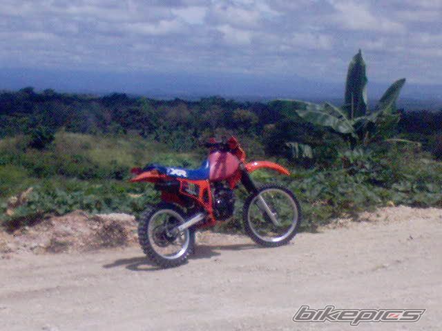 Photo 2228954