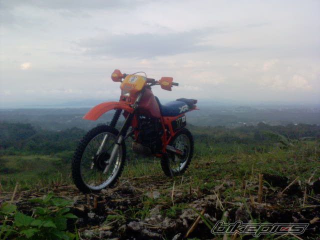 Photo 2228955