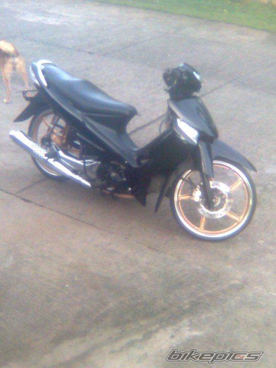 Photo 2228970