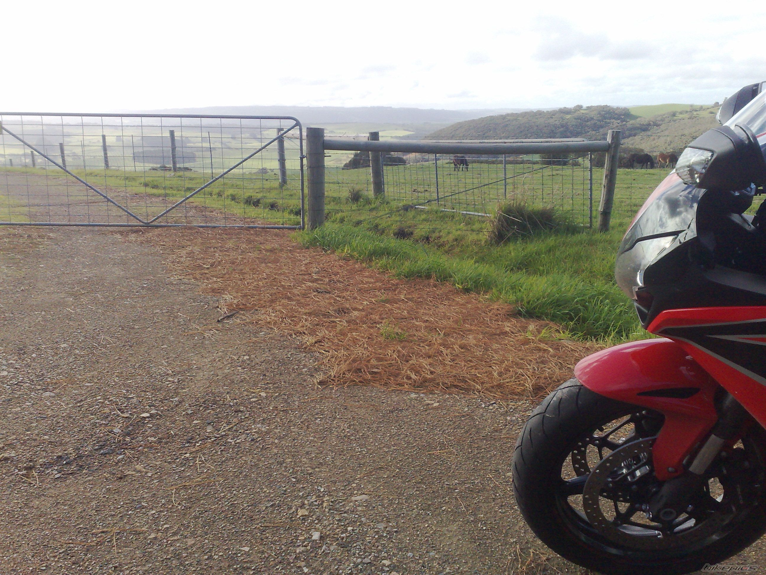 Photo 2229130