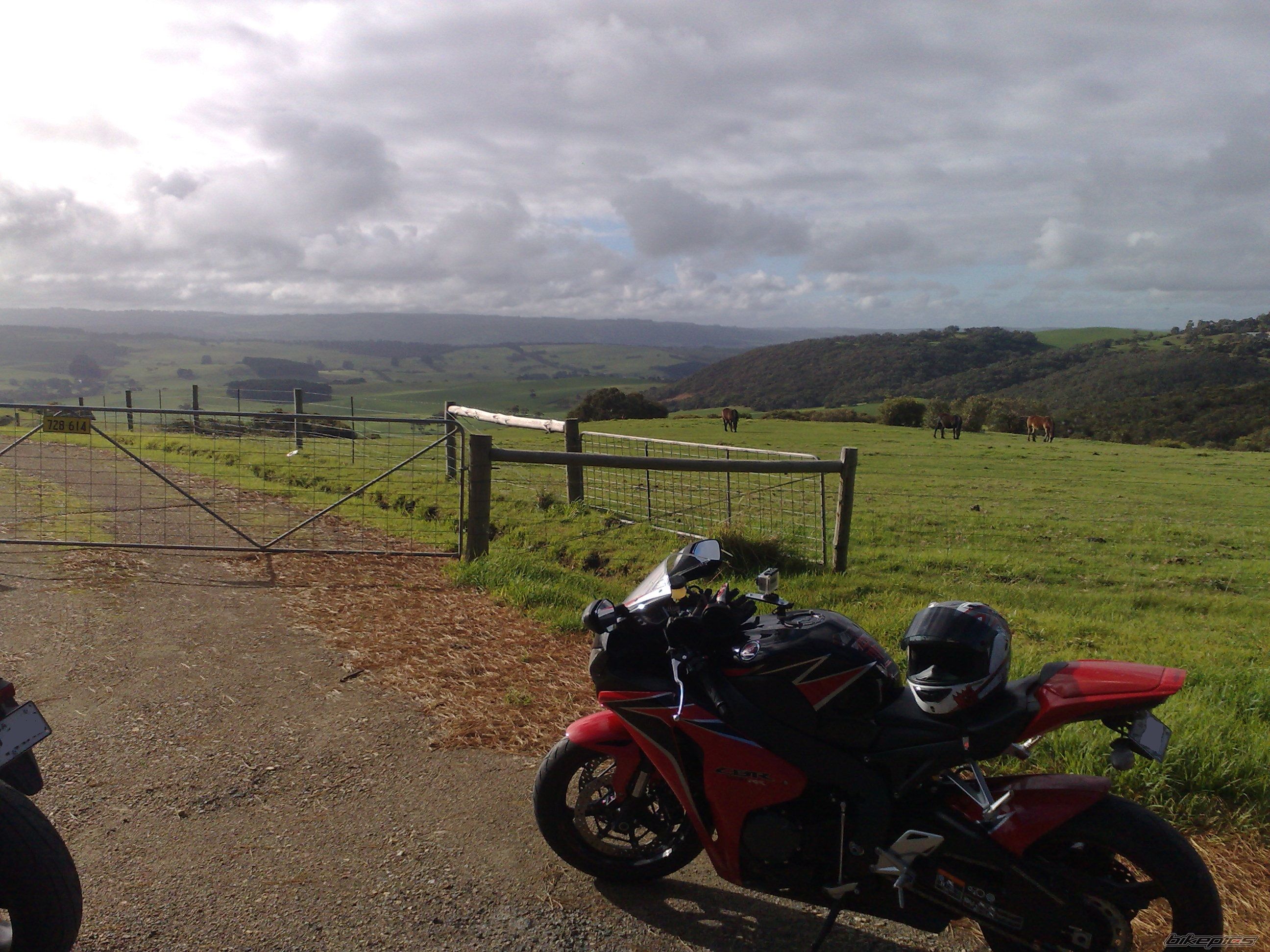 Photo 2229132