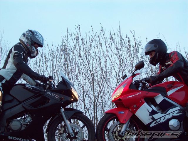 Photo 2229226