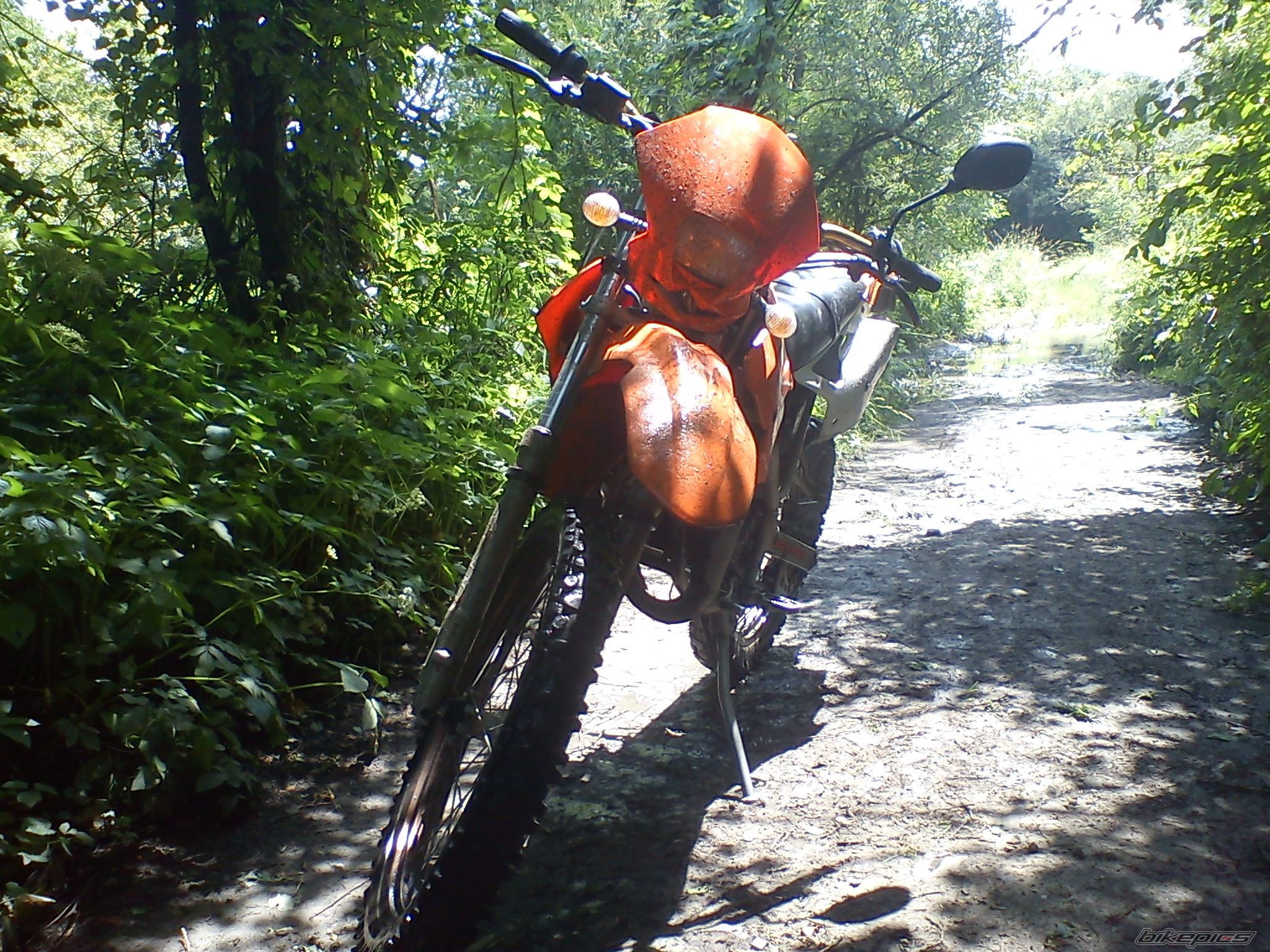 Photo 2229231