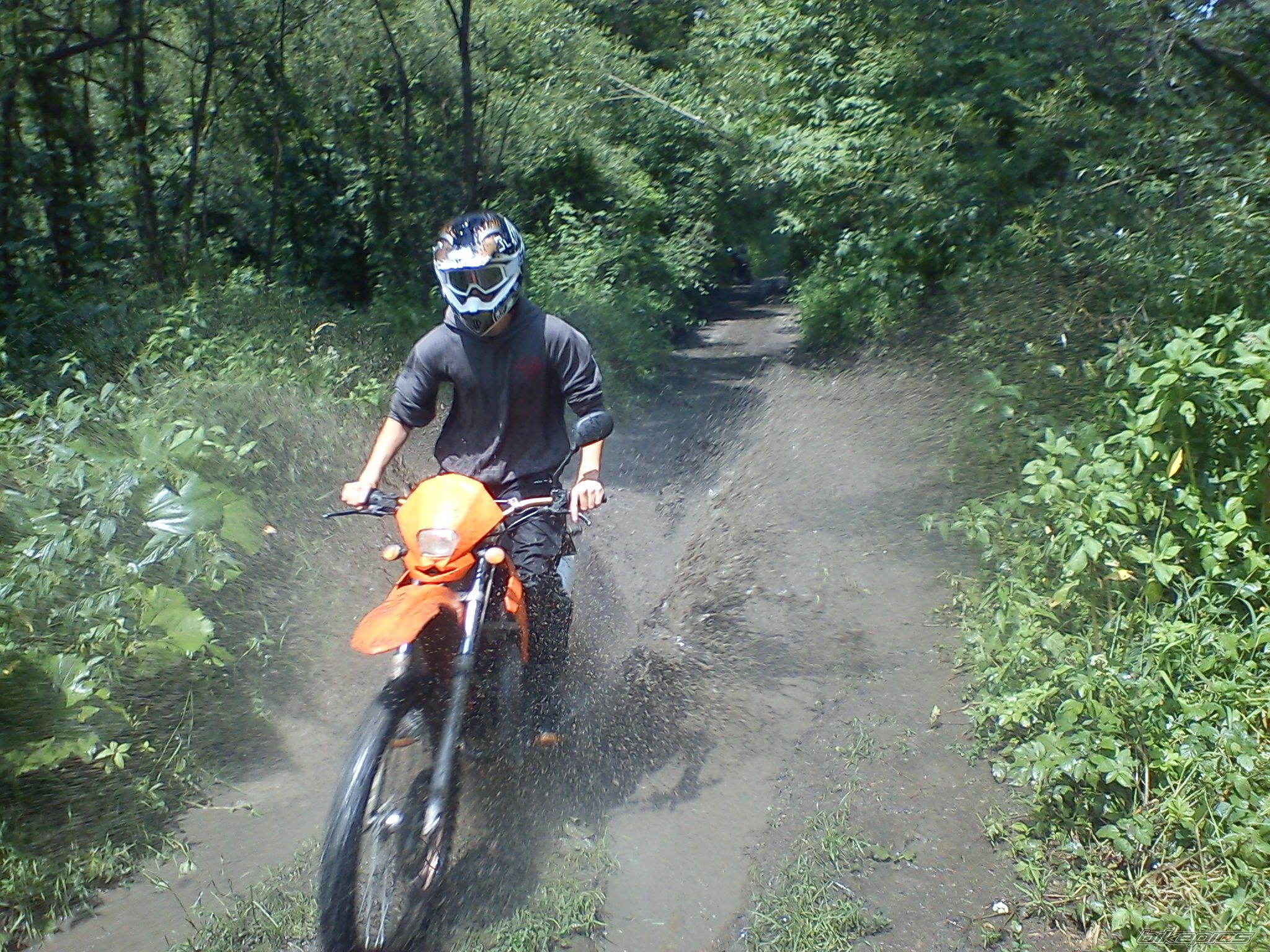 Photo 2229234