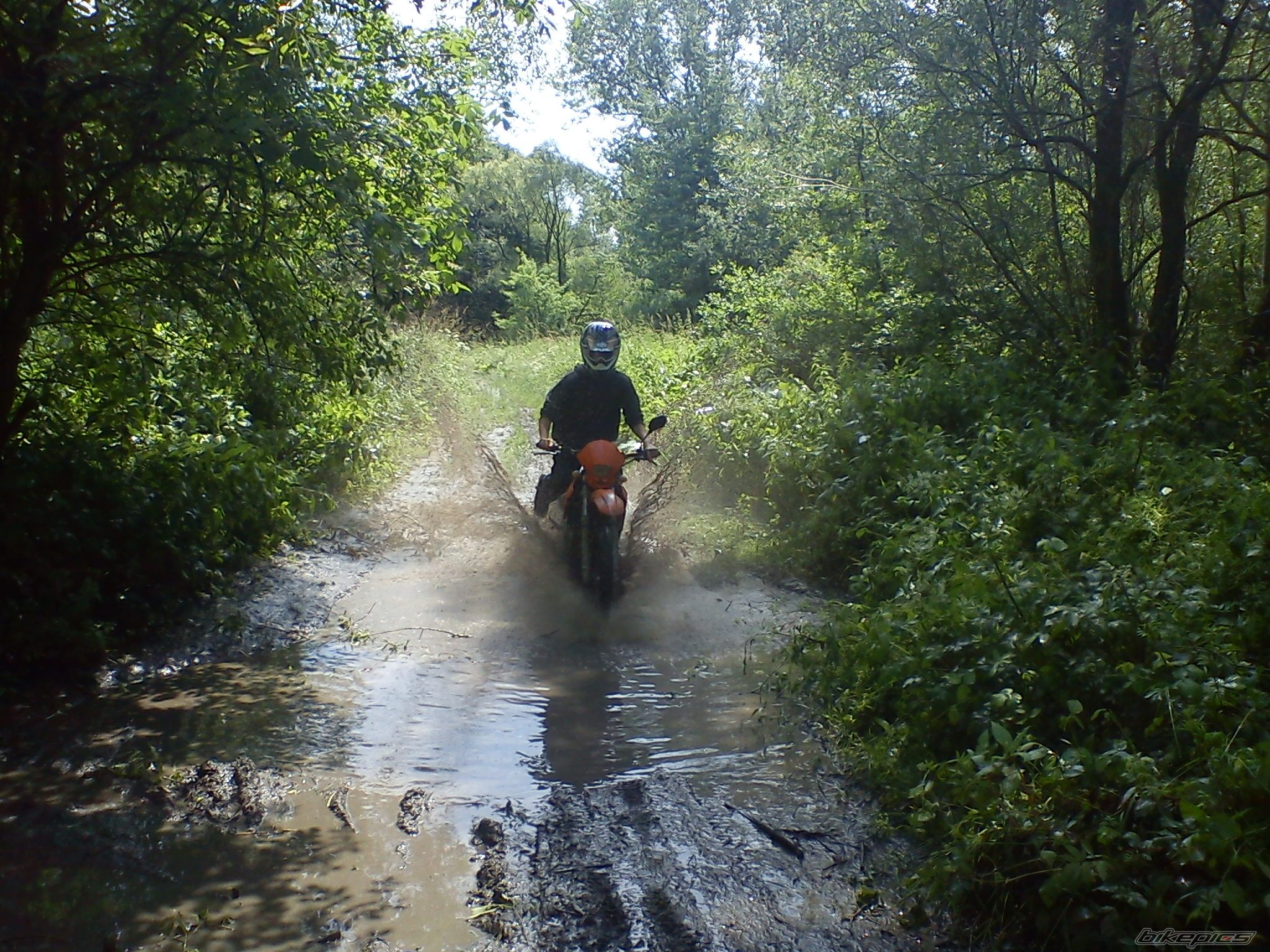 Photo 2229235