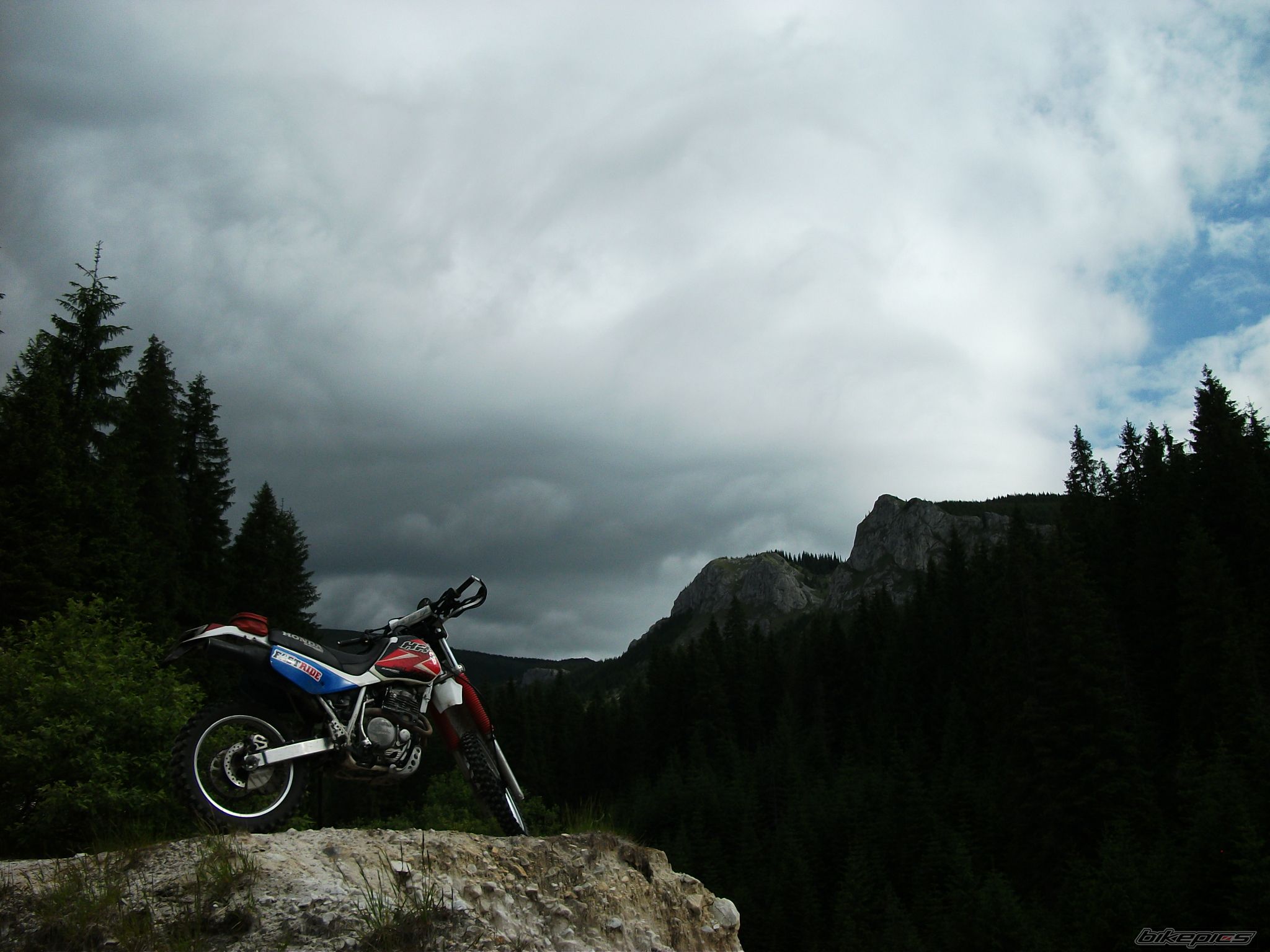 Bike Photo 2229342
