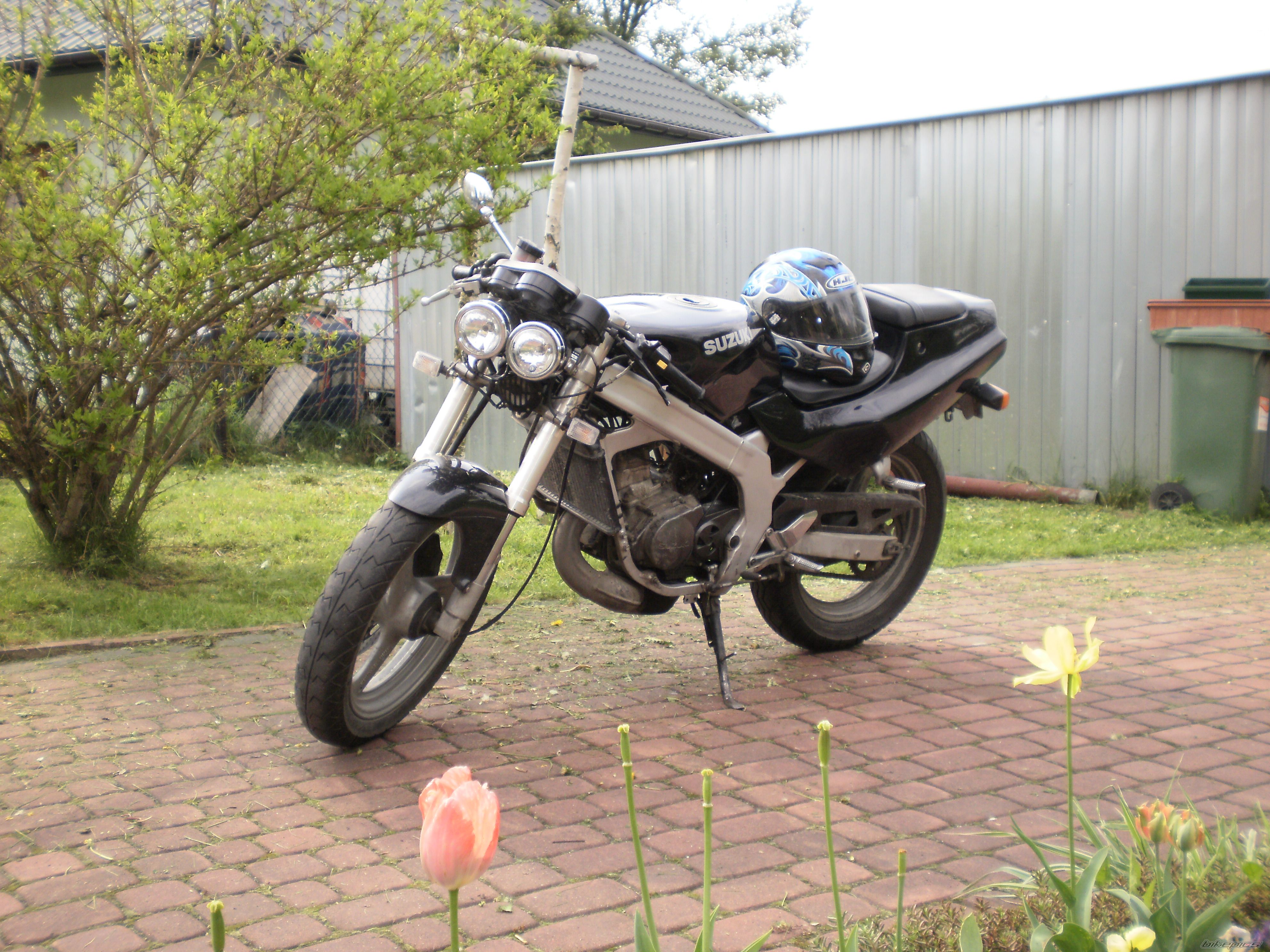 Photo 2229516