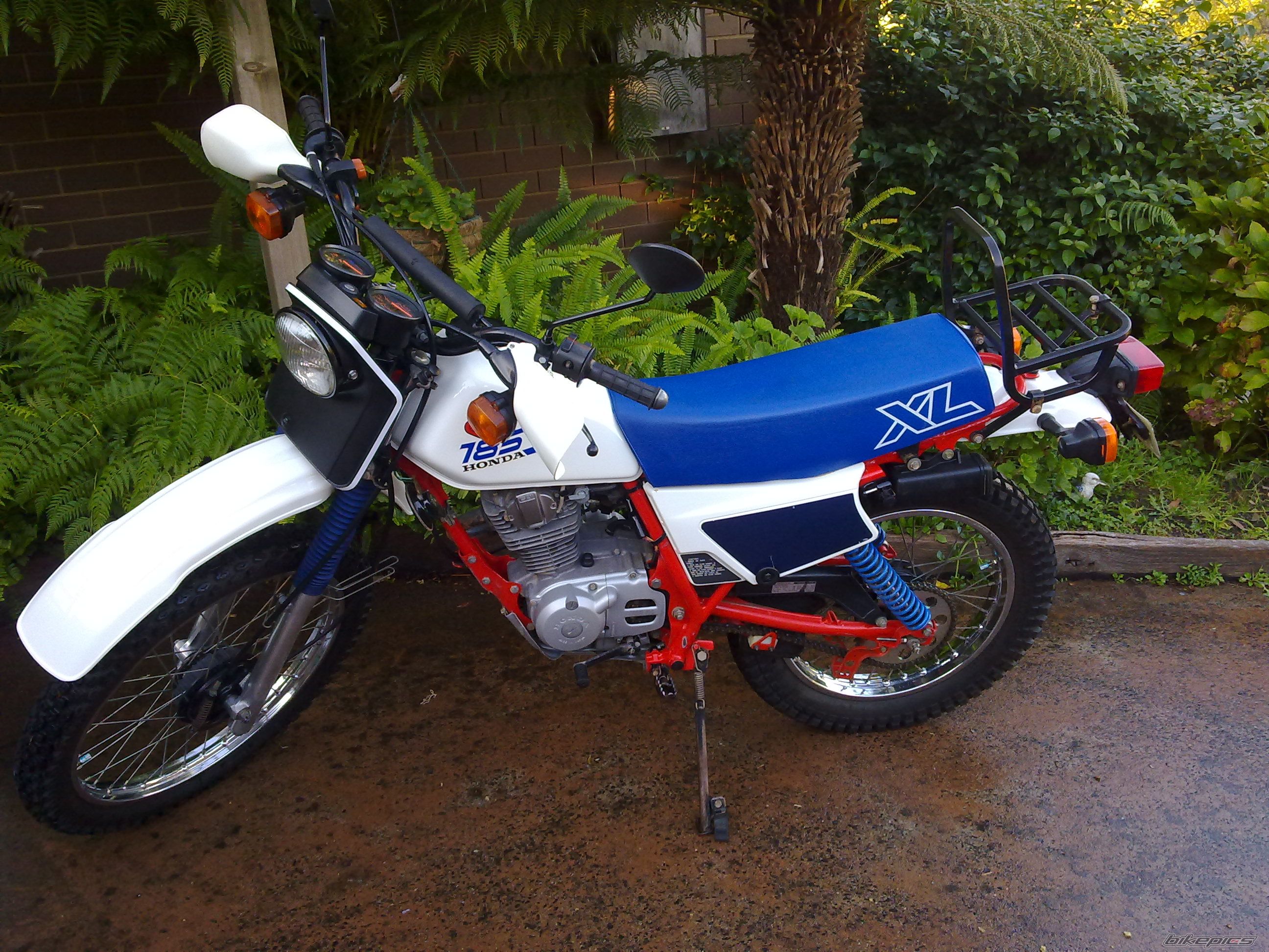 Photo 2229554