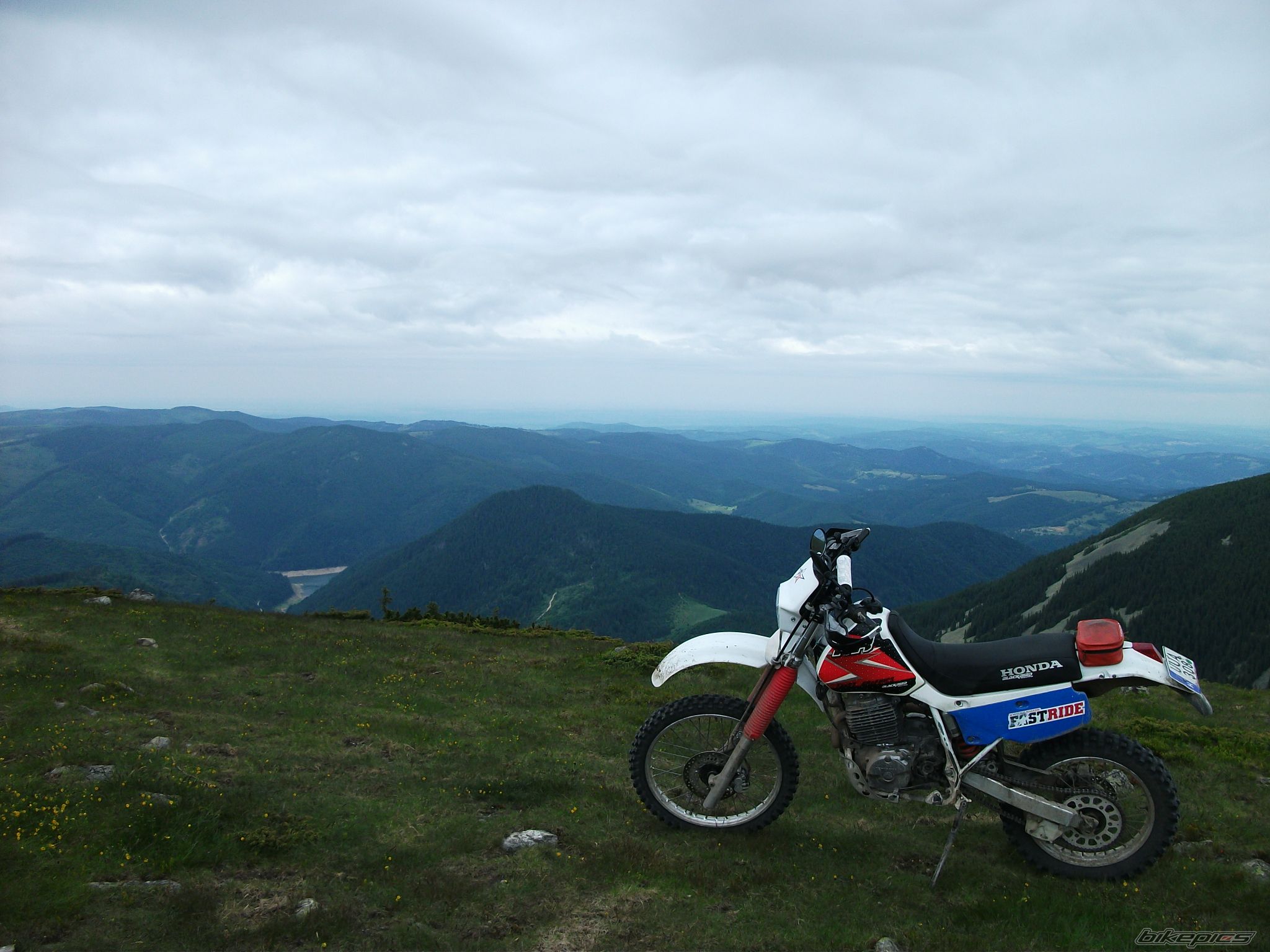 Bike Photo 2229620