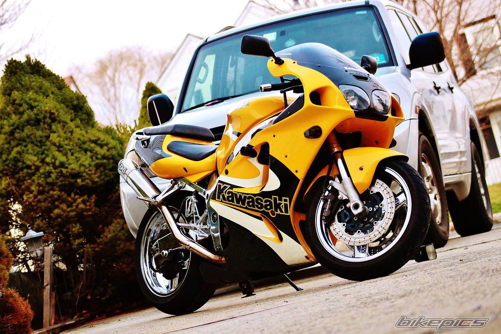 Photo 2229757