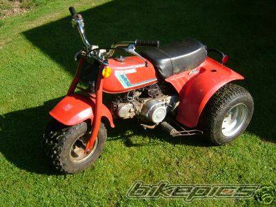 Photo 222977
