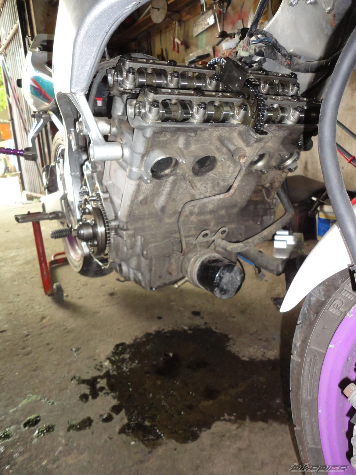 Photo 2229887