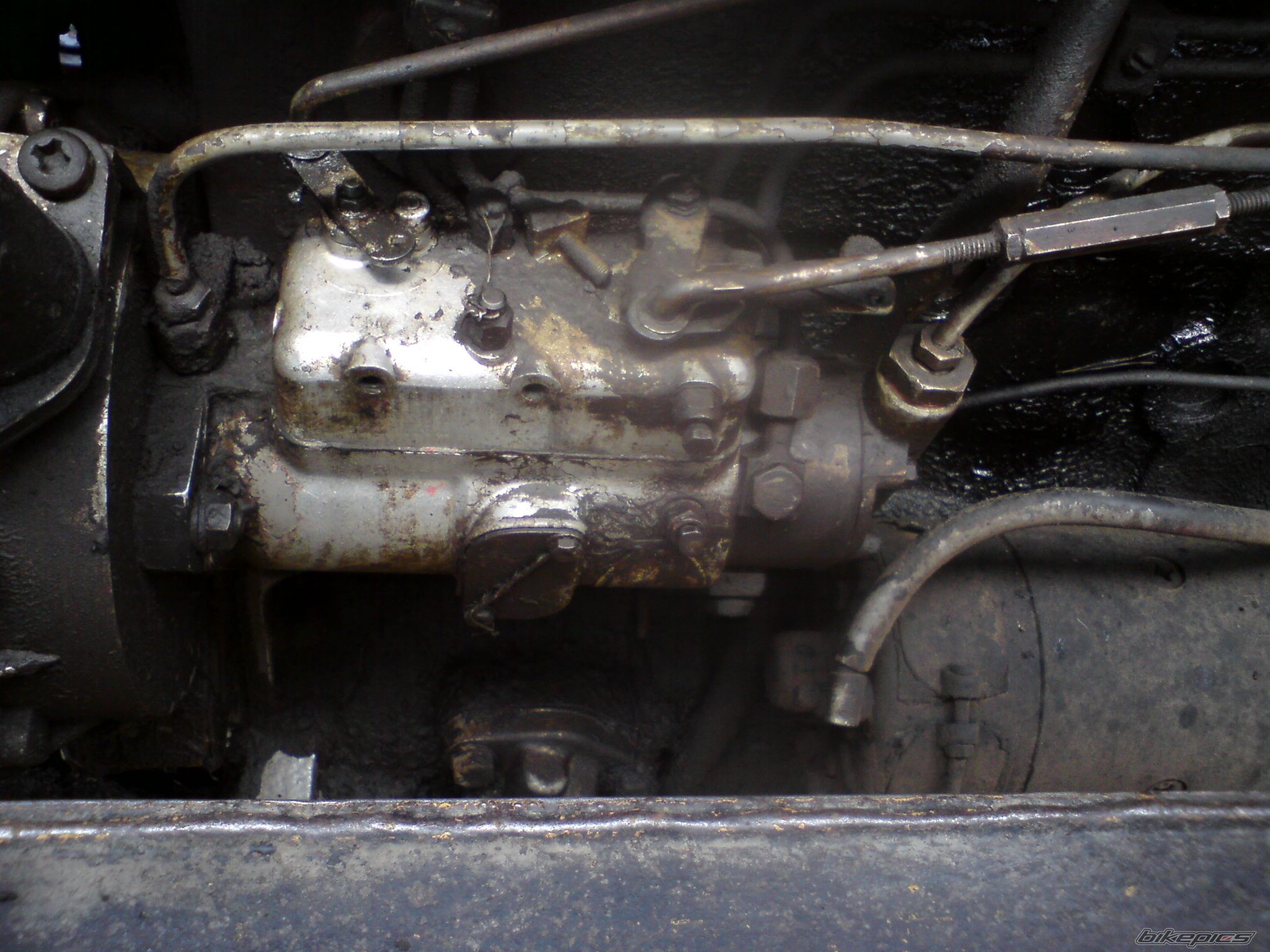Photo 2229898