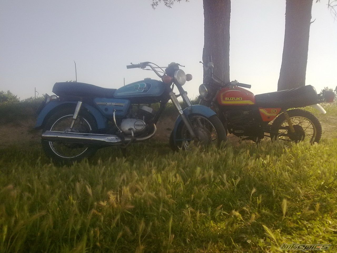 Photo 2229968