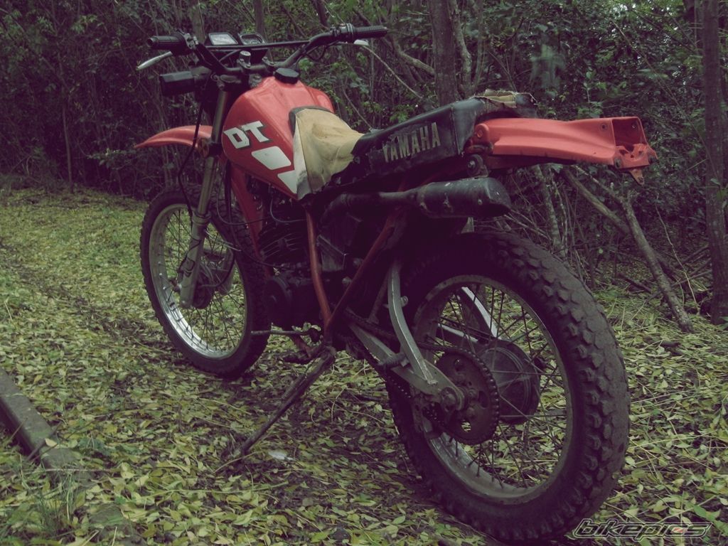Photo 2229969