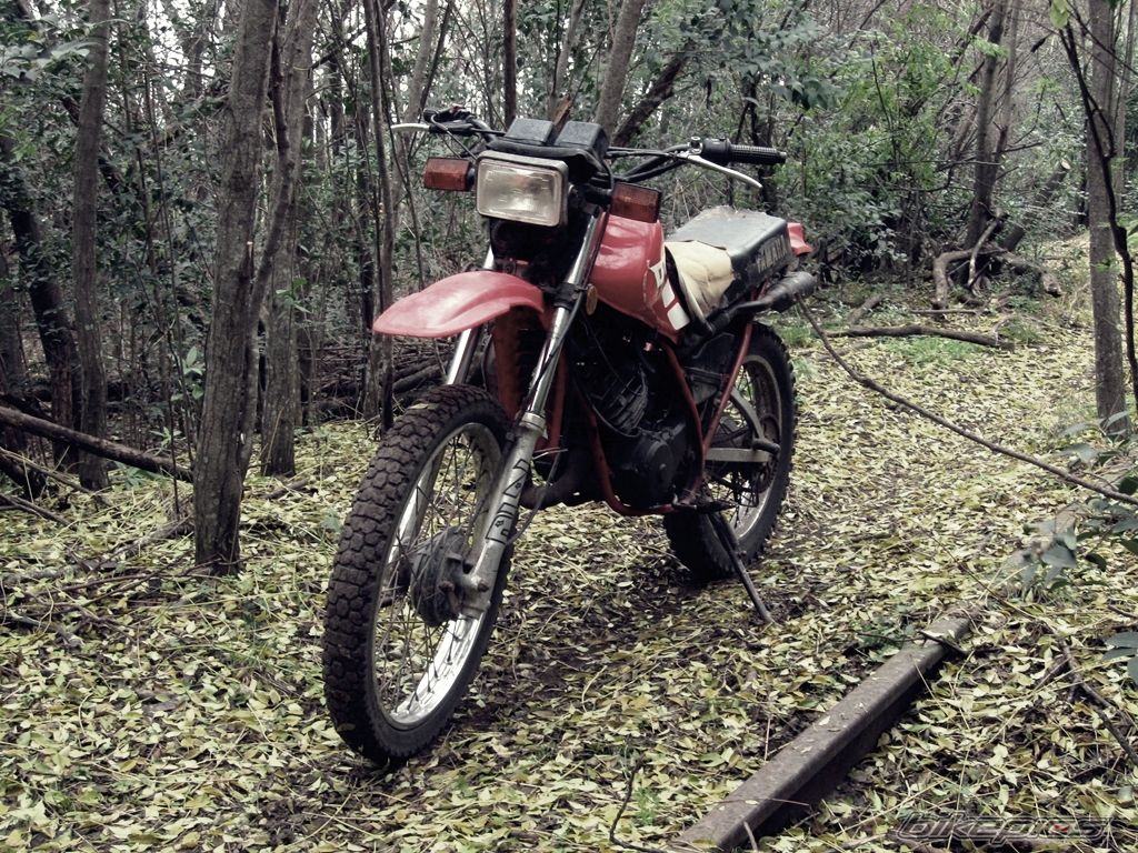 Photo 2229971