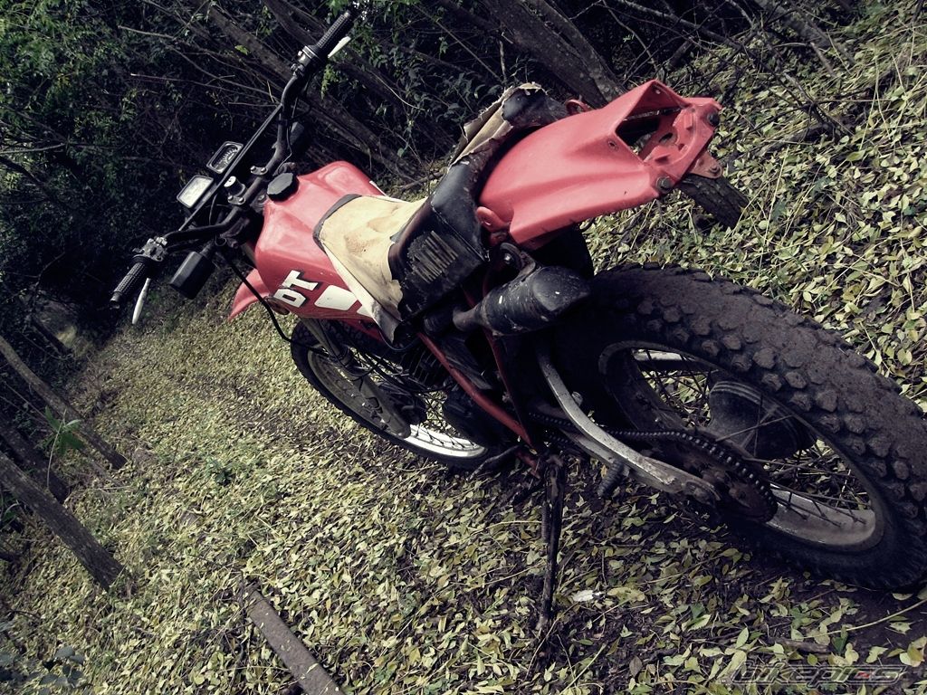 Photo 2229973