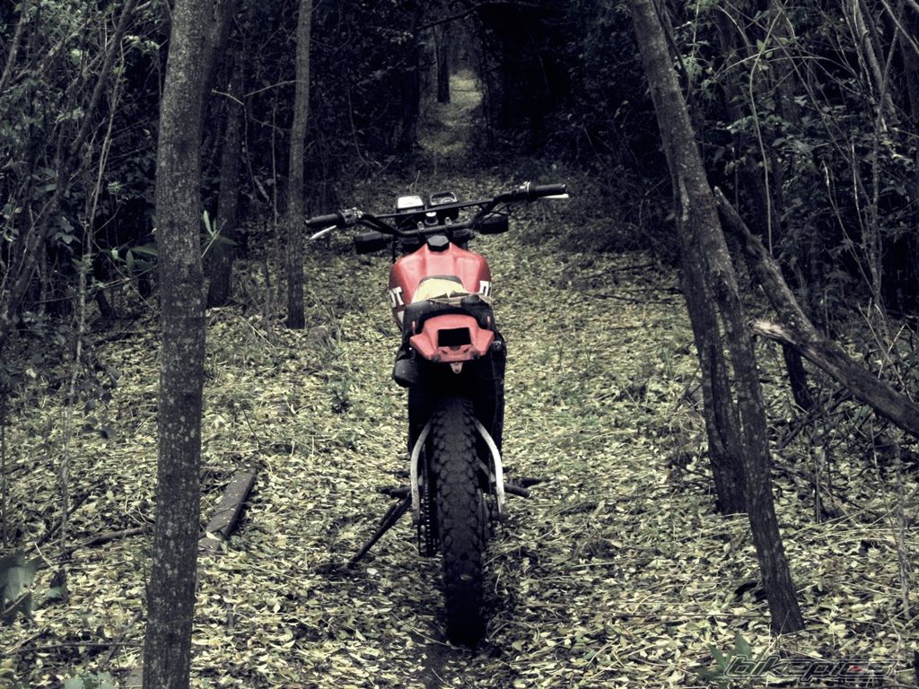 Photo 2229974