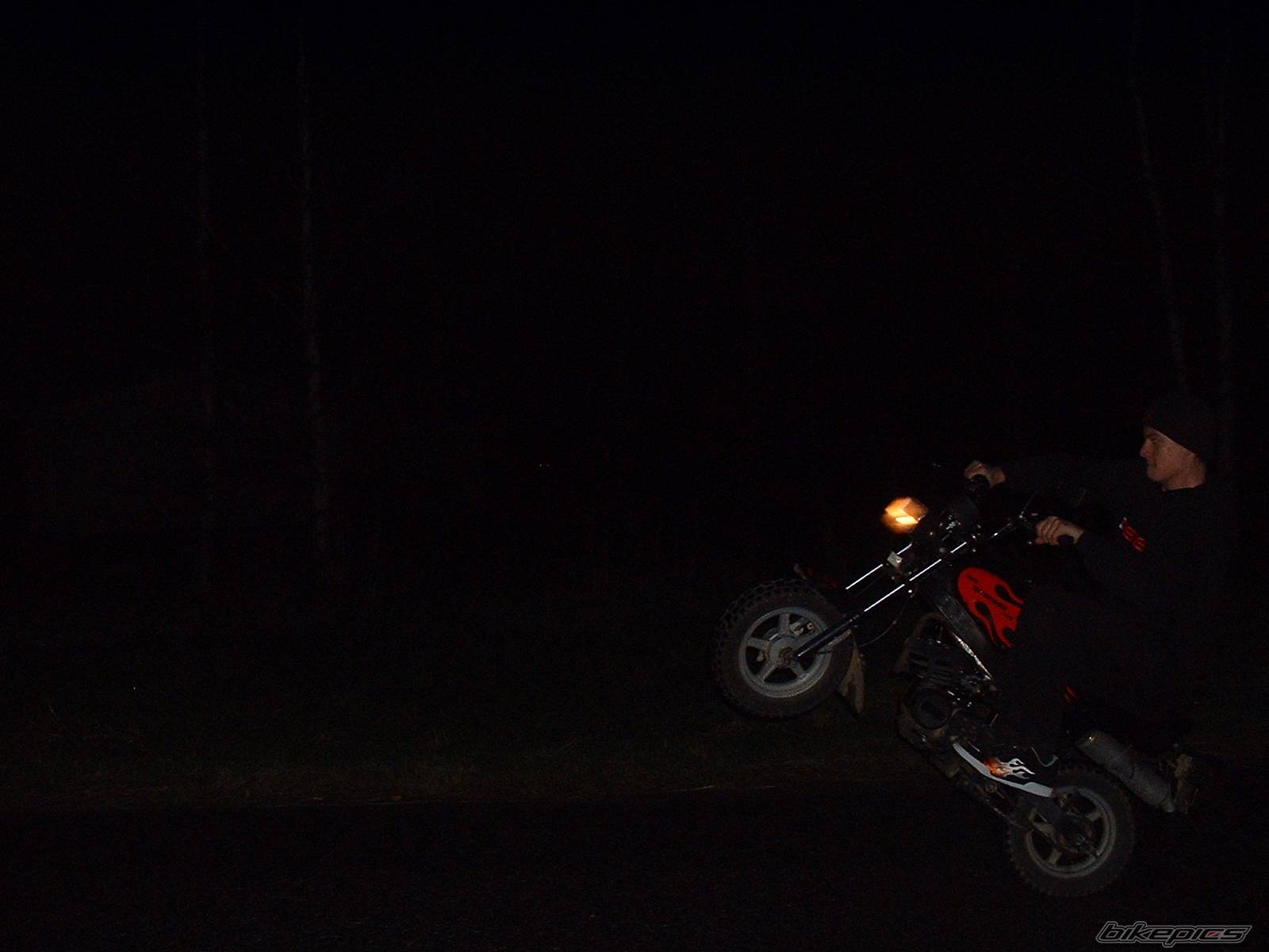 Photo 222998