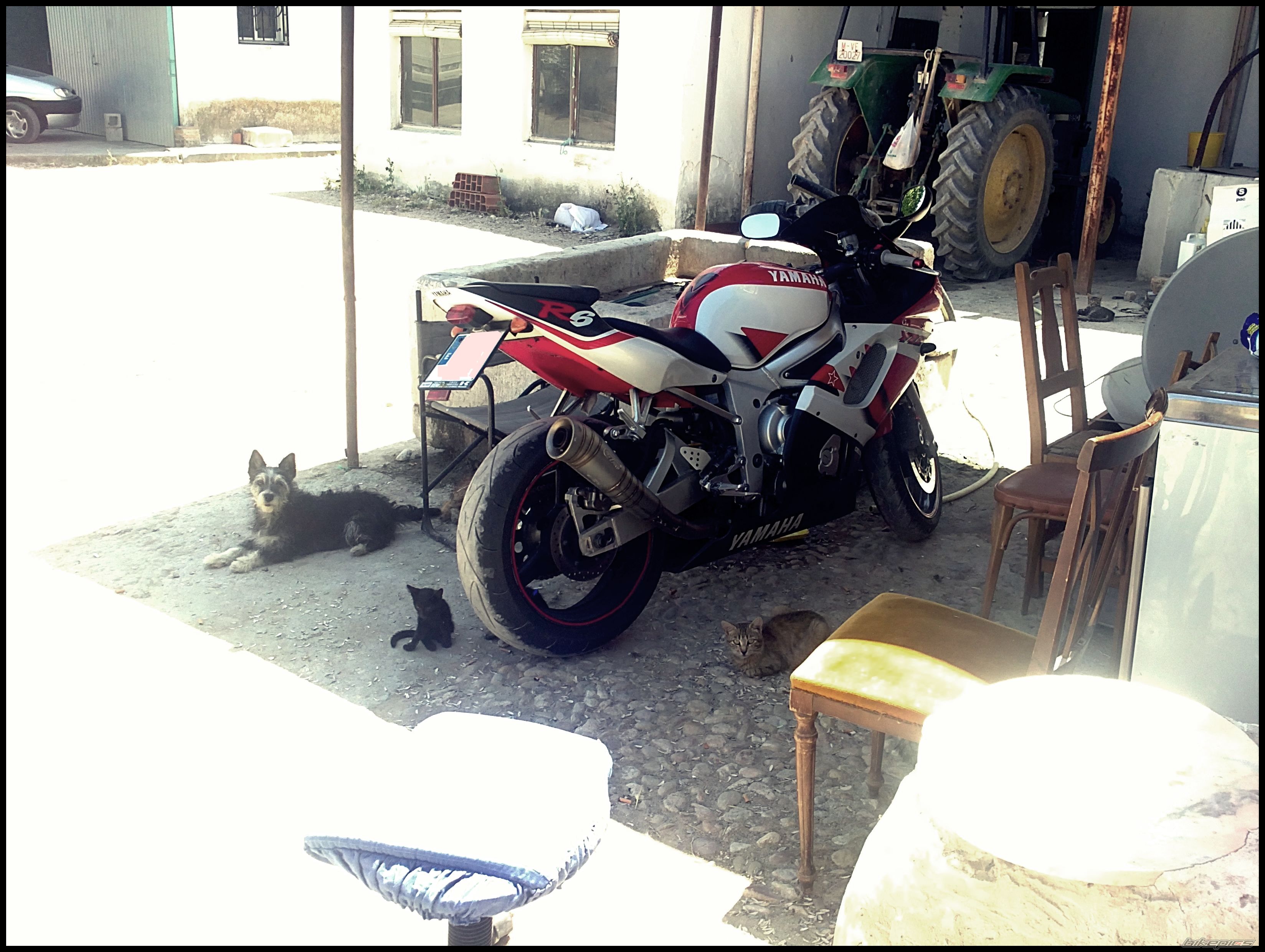 Photo 2229993