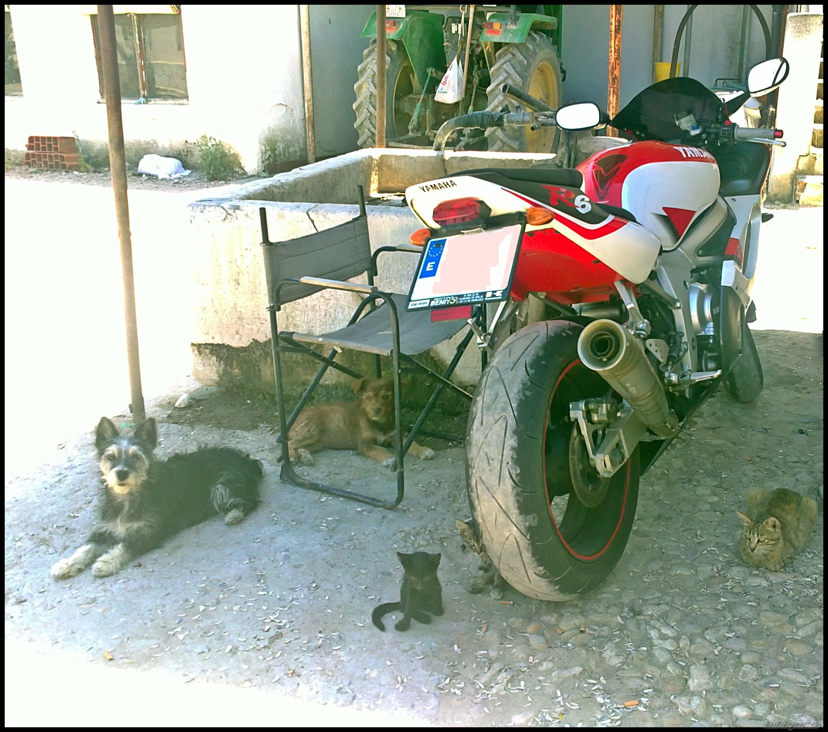 Photo 2229994